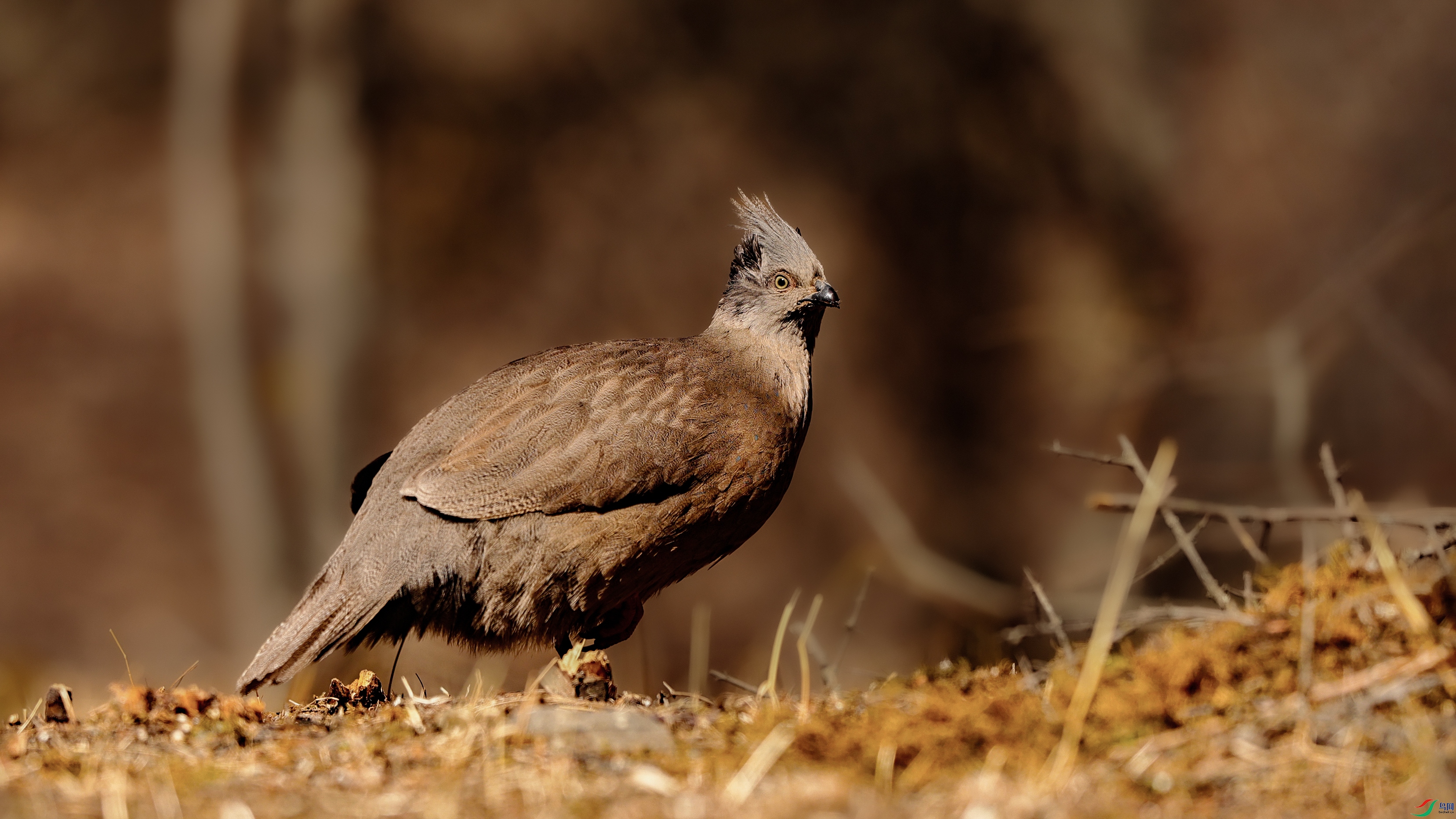 7X5A2601 ����111.jpg