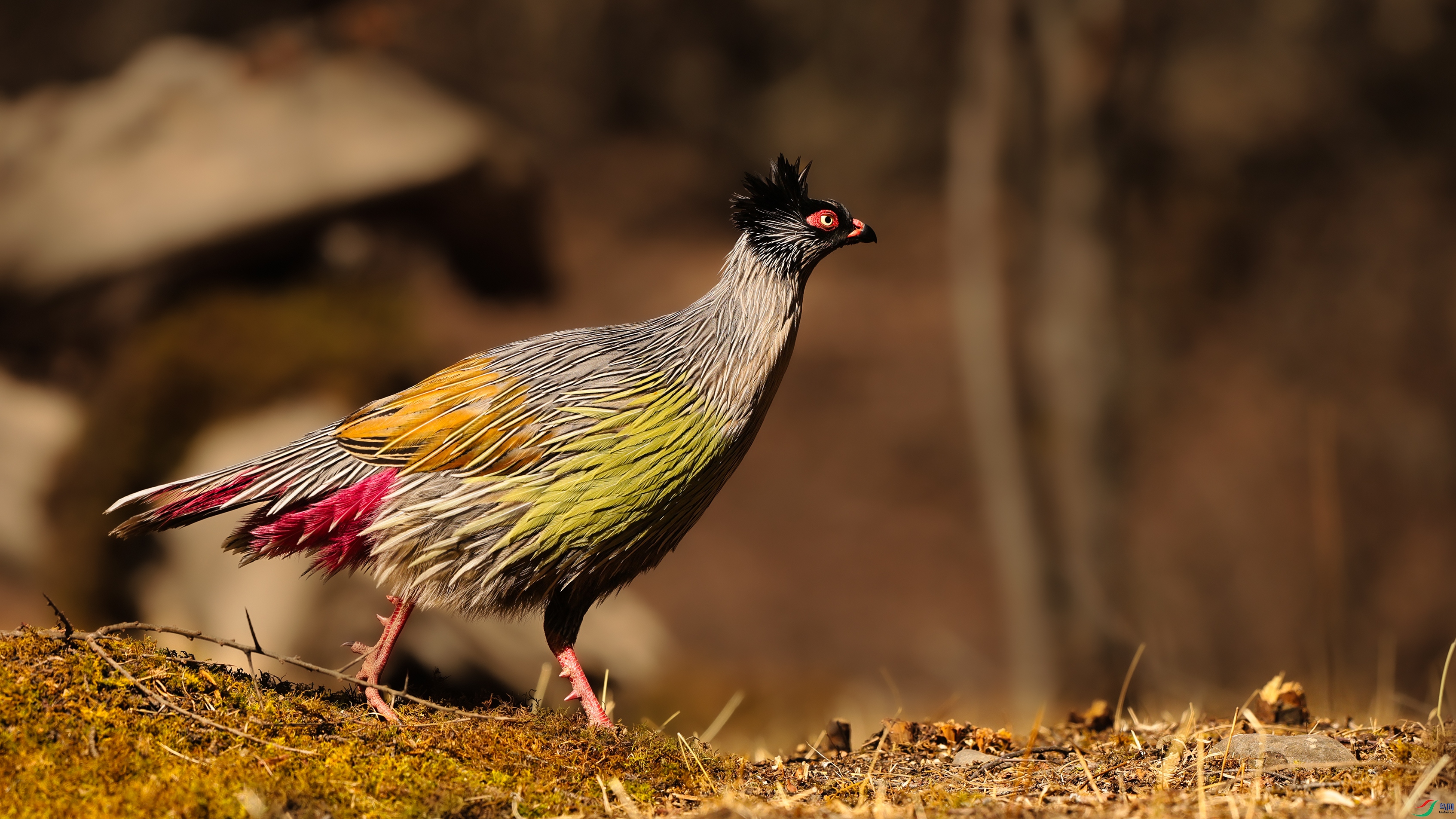 7X5A2547 ����77.jpg