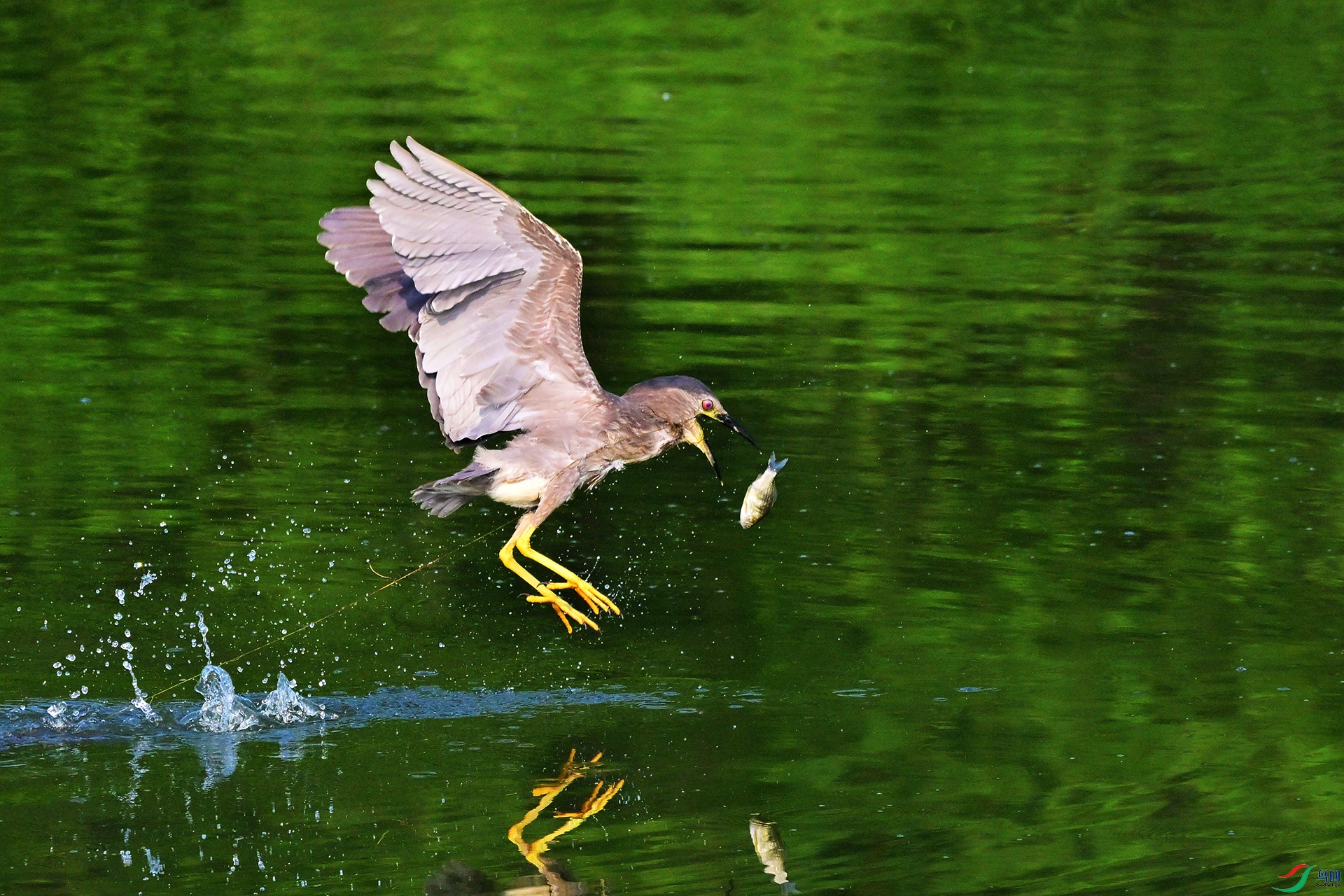 DSC_0020.jpg