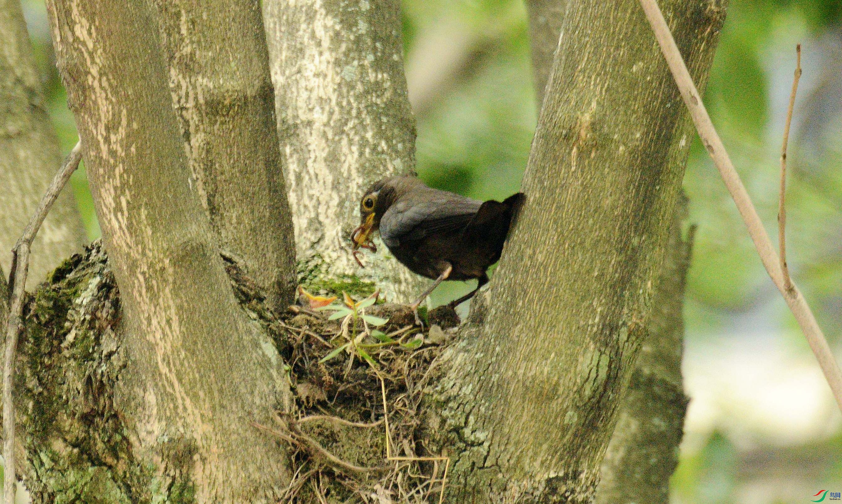DWC_1678.JPG