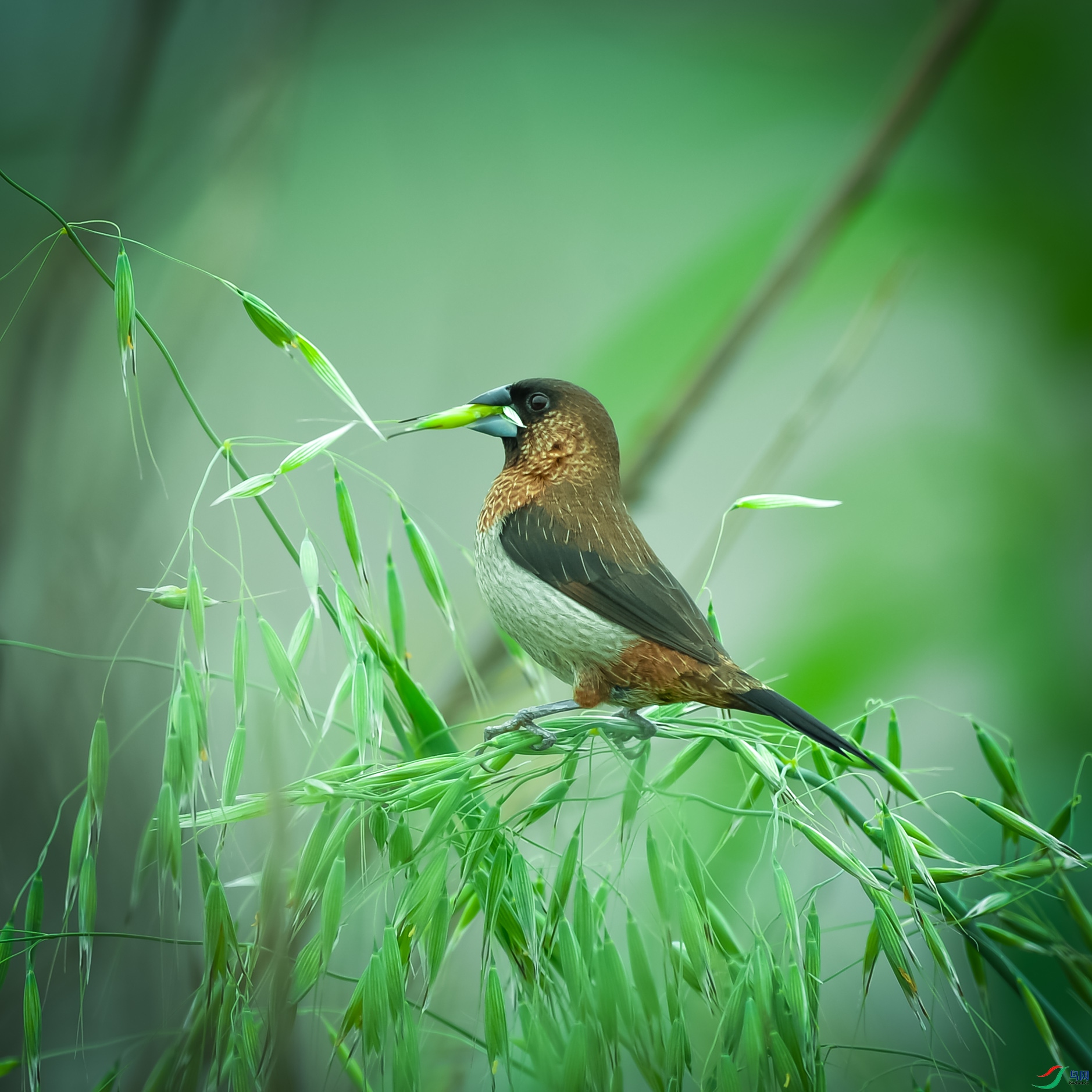 DSC_6631.jpg