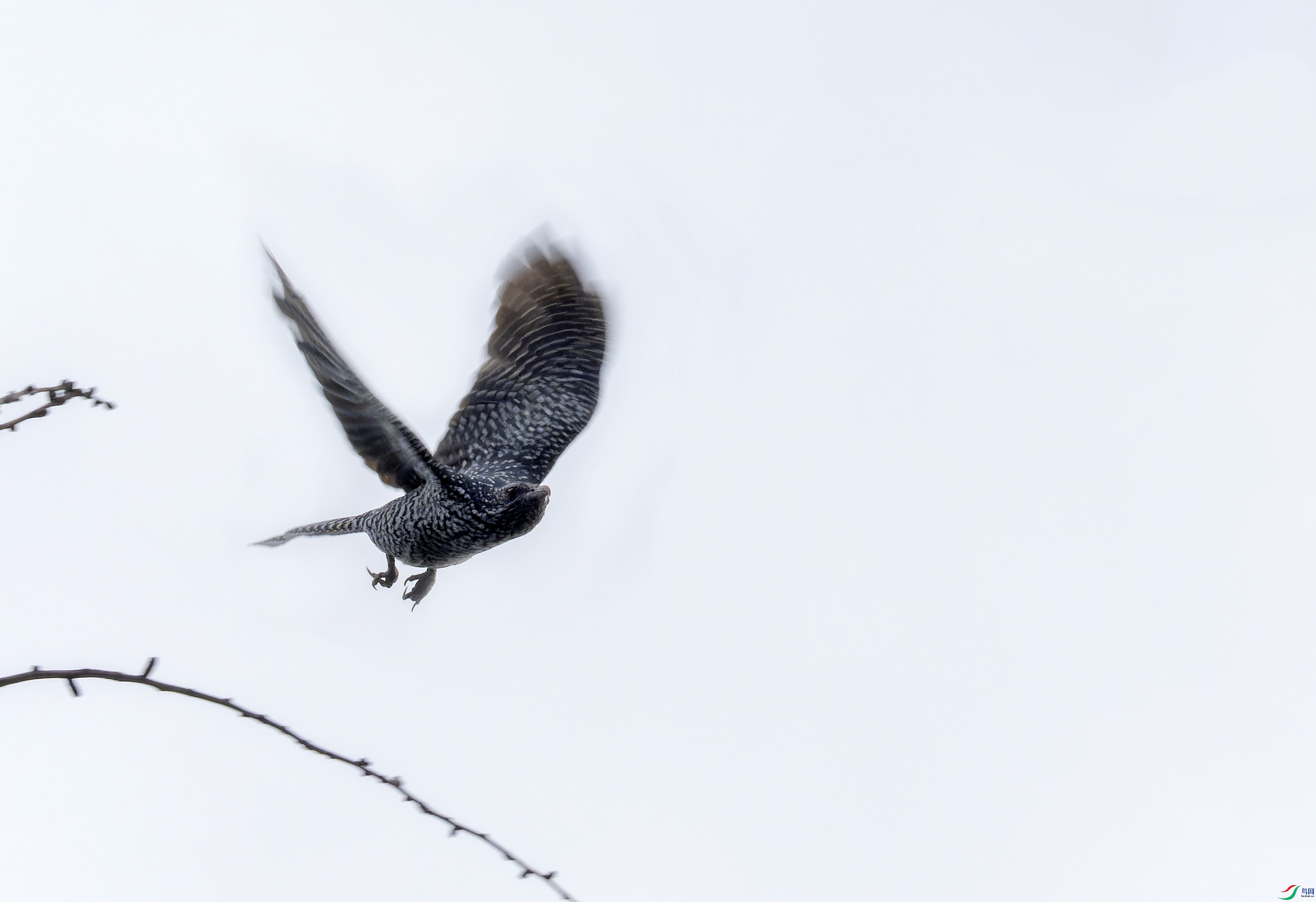 ��� (19)-1.jpg