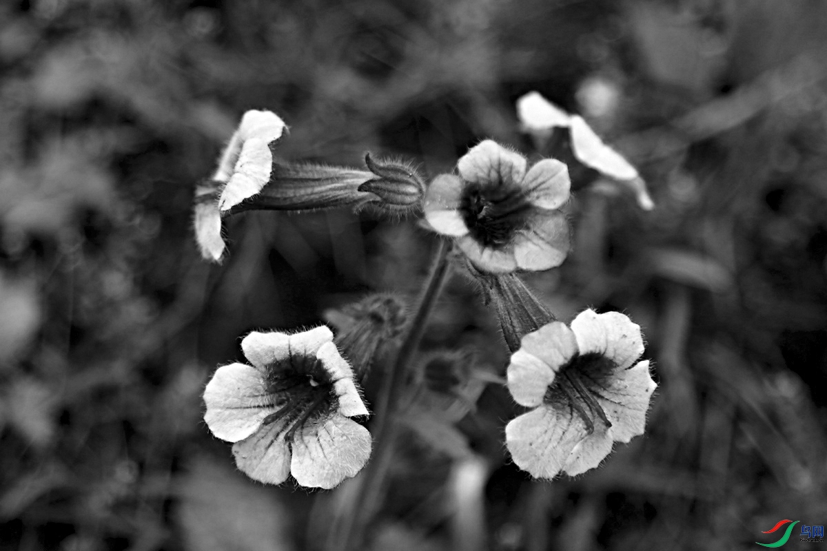 IMG_6512.jpg