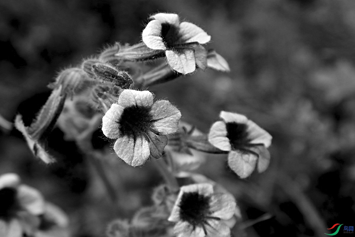 IMG_6510.jpg