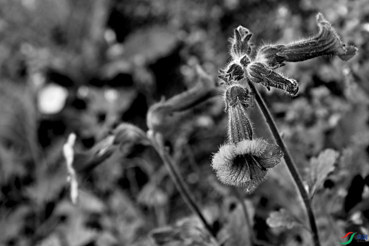 IMG_6513.jpg