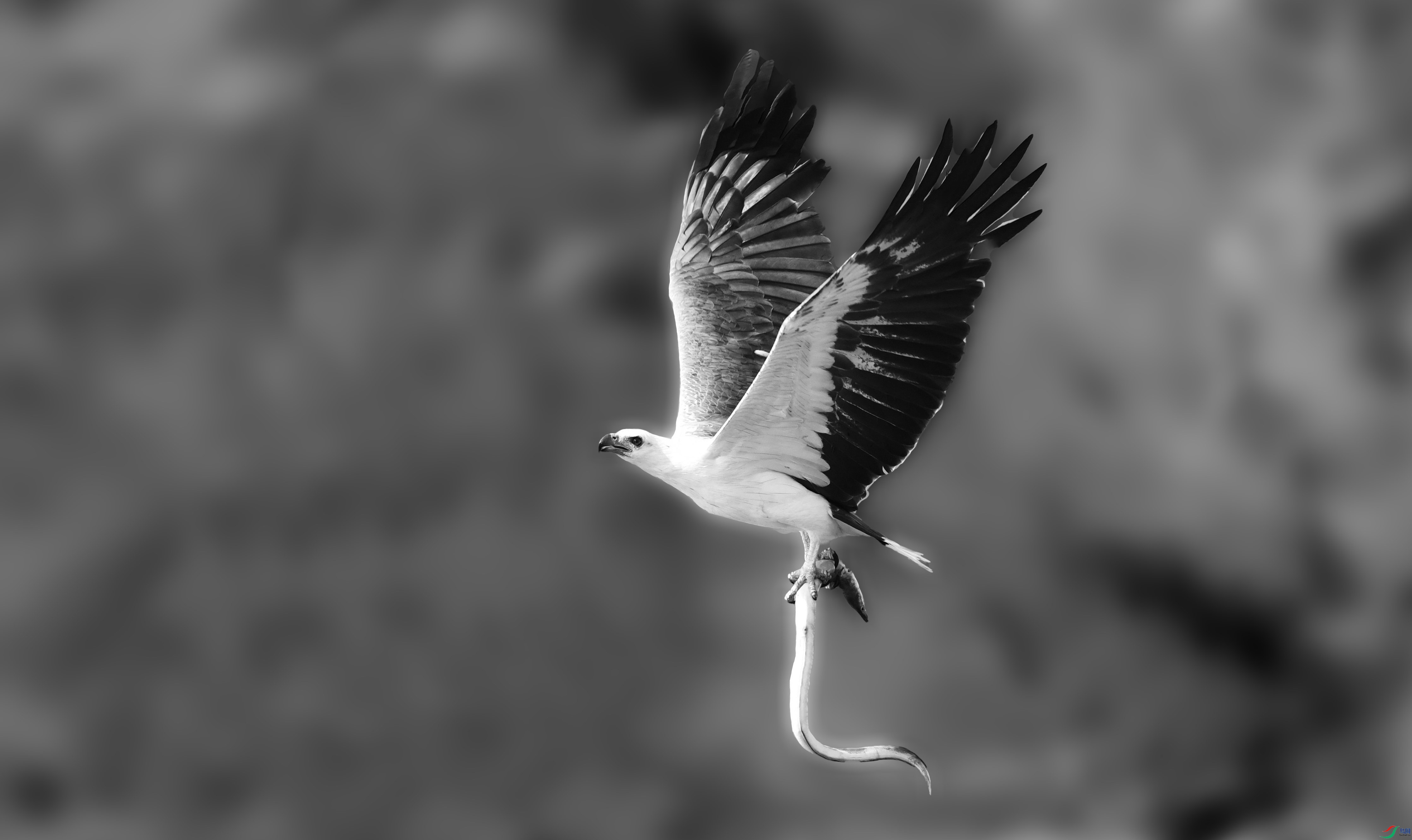 DSC_8483 (2)_����.jpg