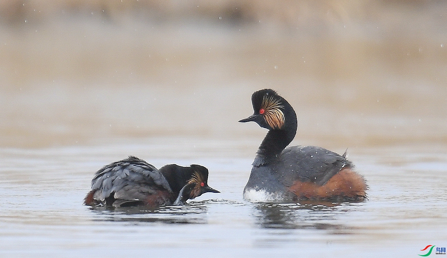 ������밲 ���� ����뻳 ����.jpg