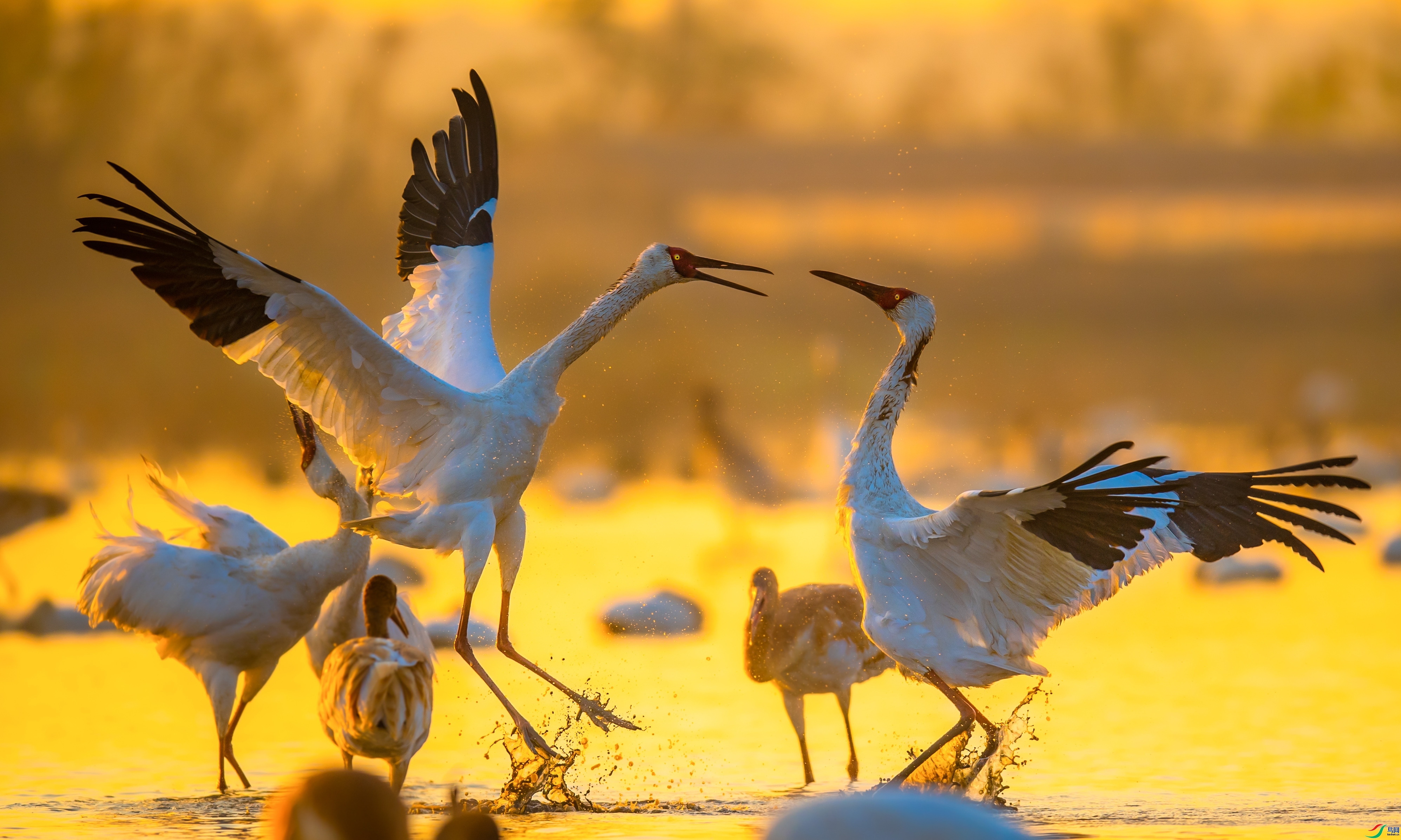 �峿֮��  ���� ��������bj��  ����.jpg