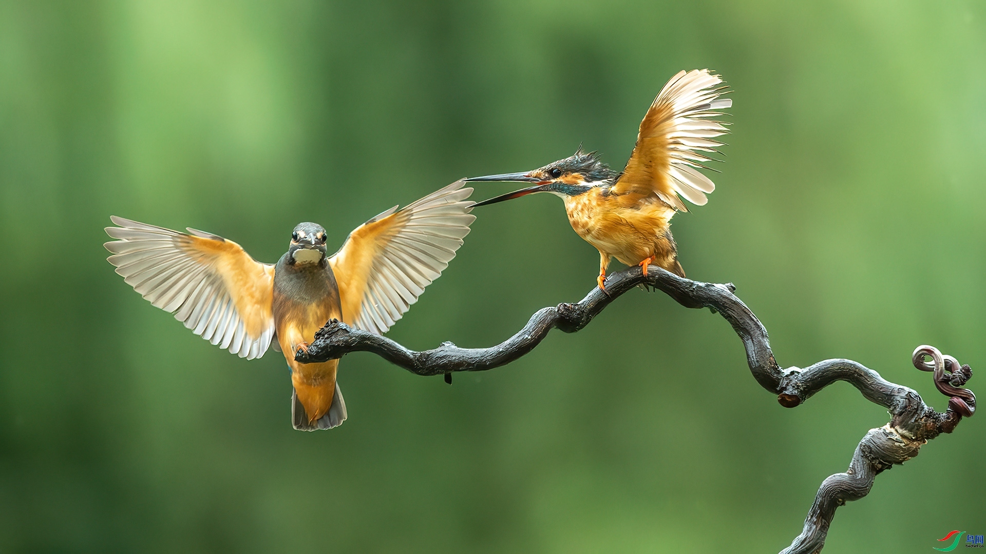 ��������  ����   ����.jpg