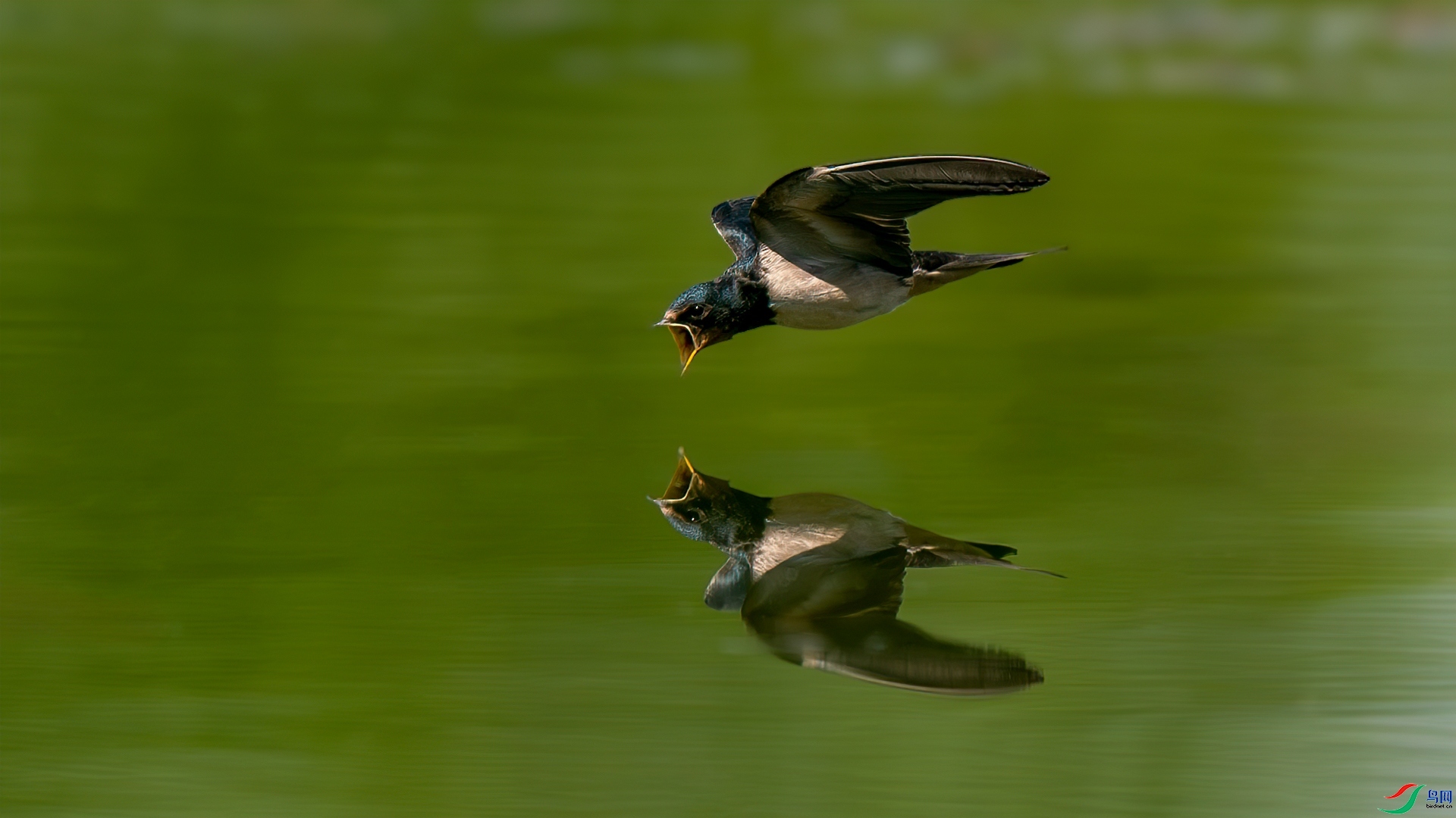 ������ʳ  ���� �������� ����.jpg