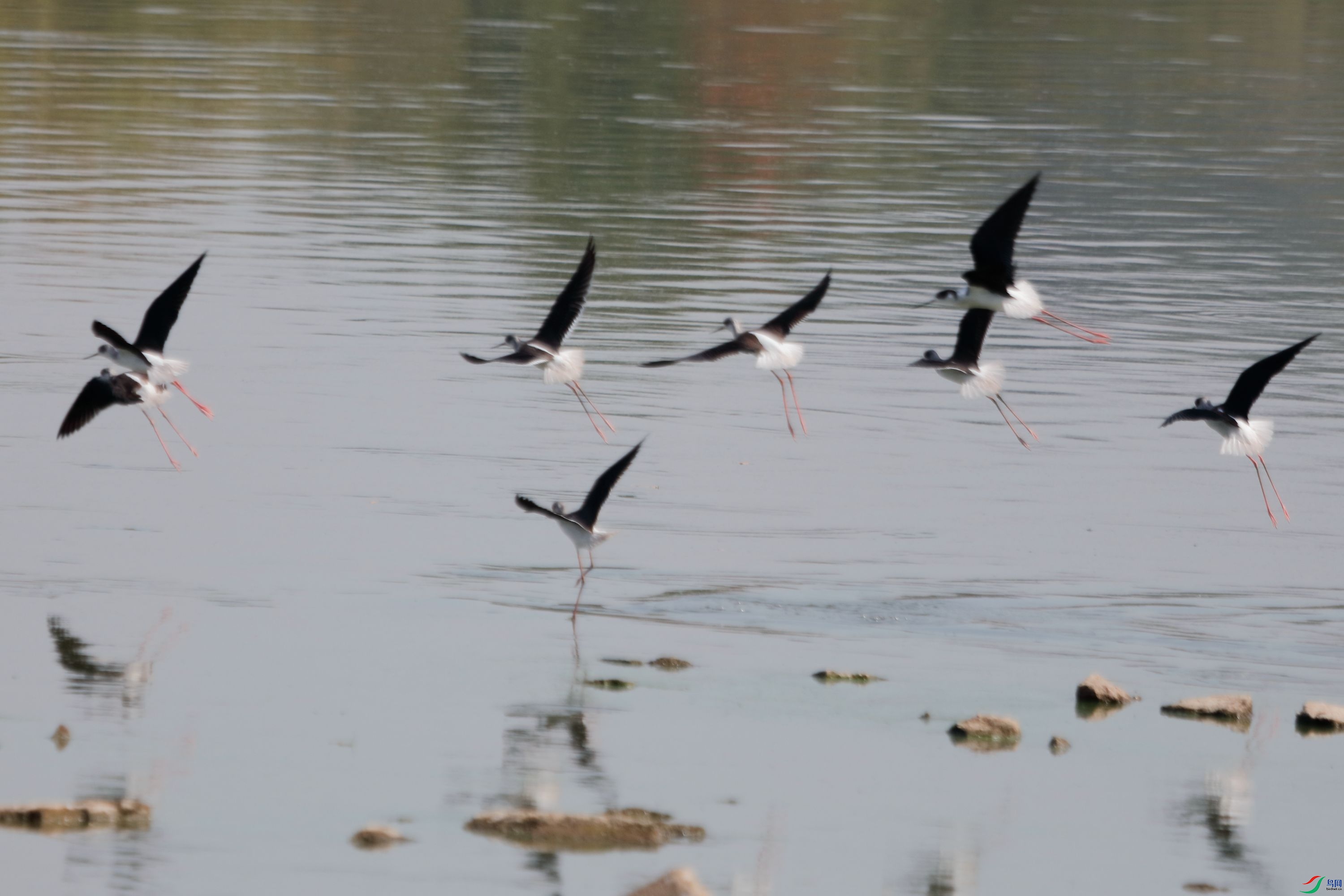 �ڳ᳤����2