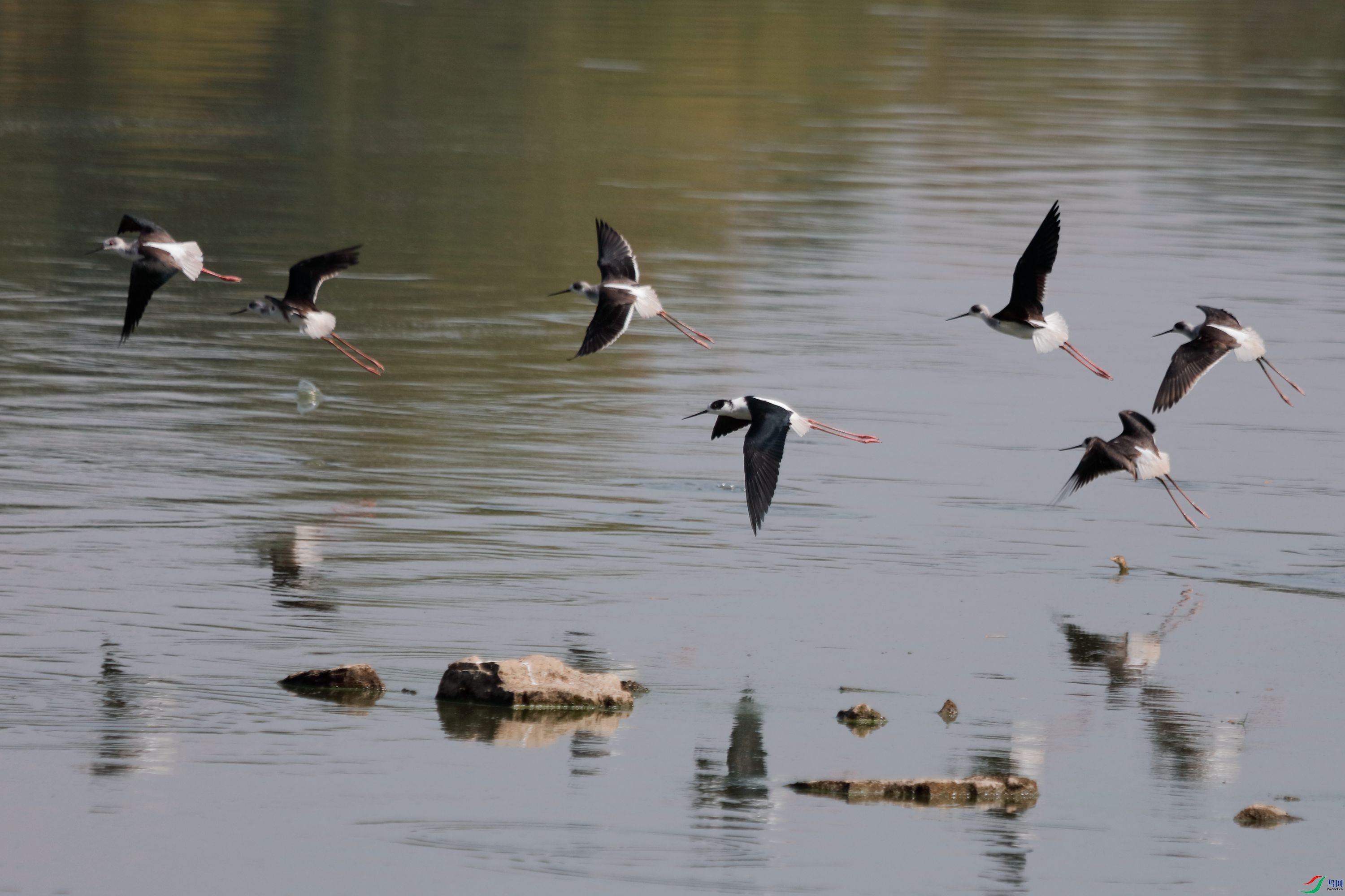 �ڳ᳤����5