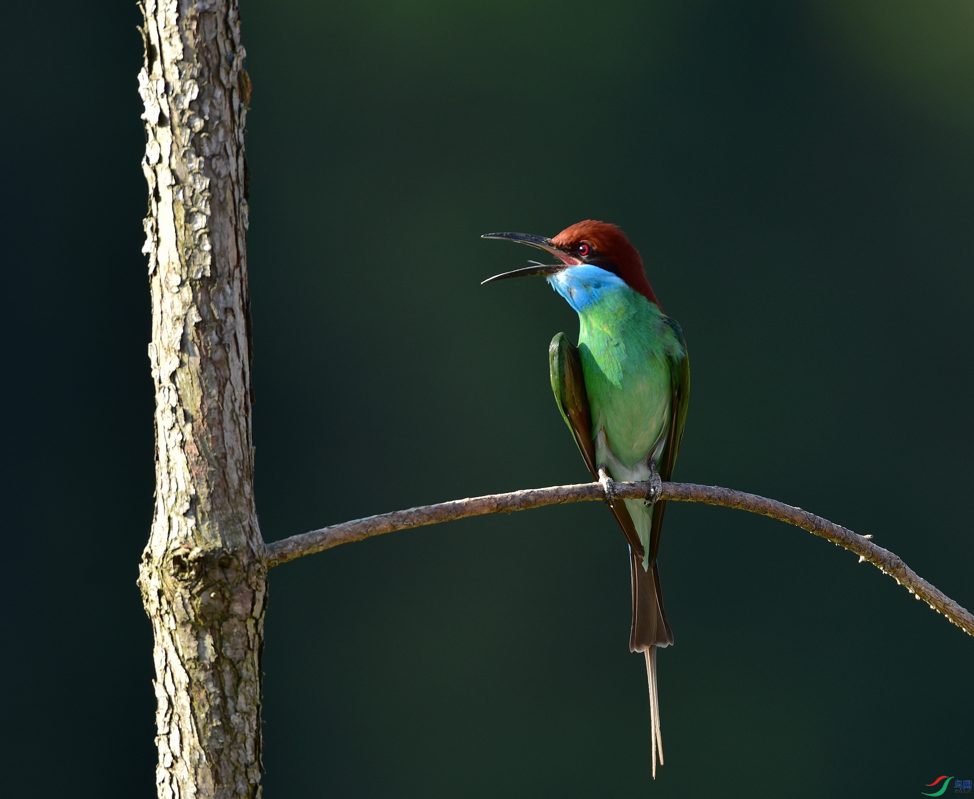 D8I_6068.jpg