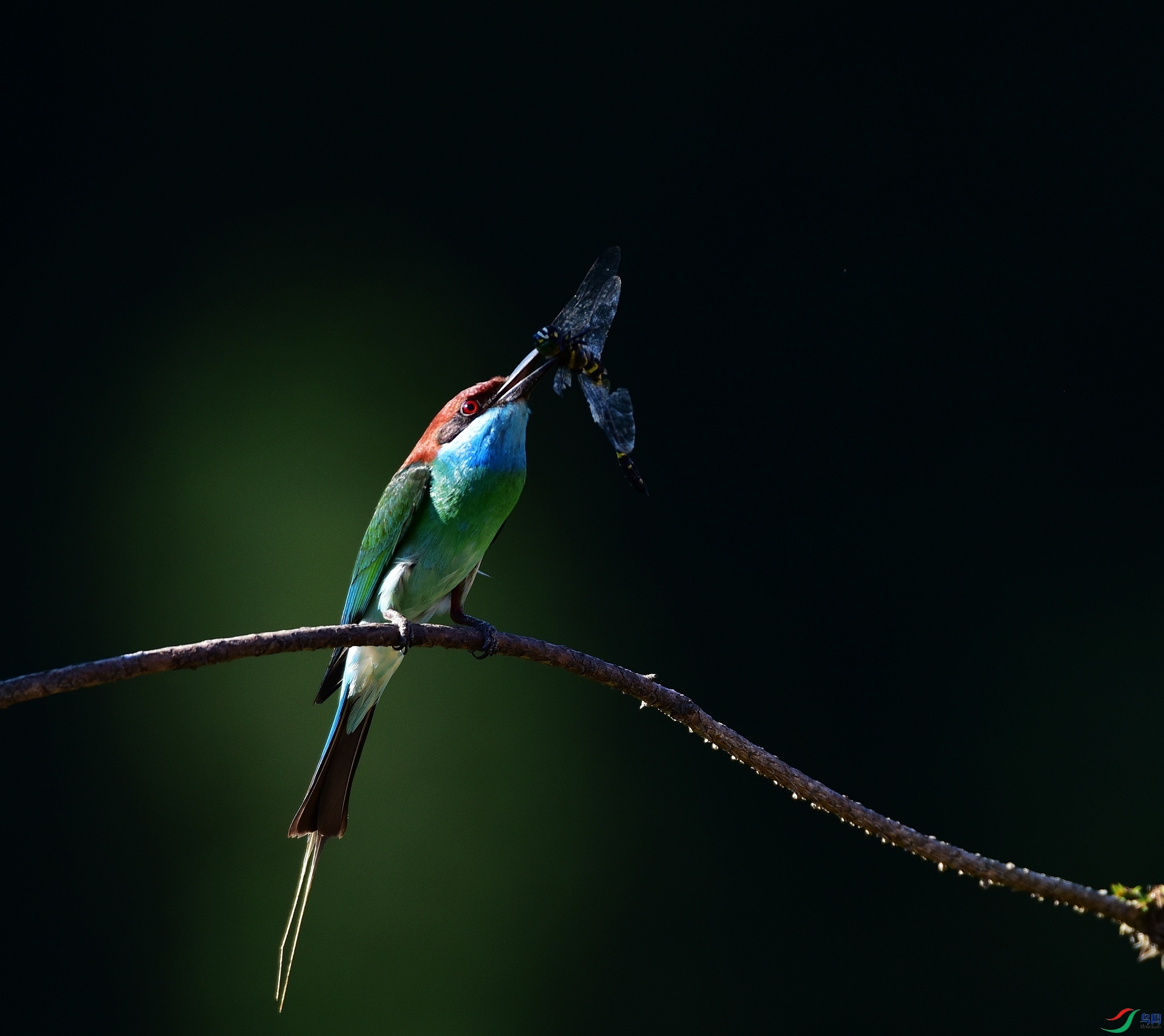 D8I_6985.jpg