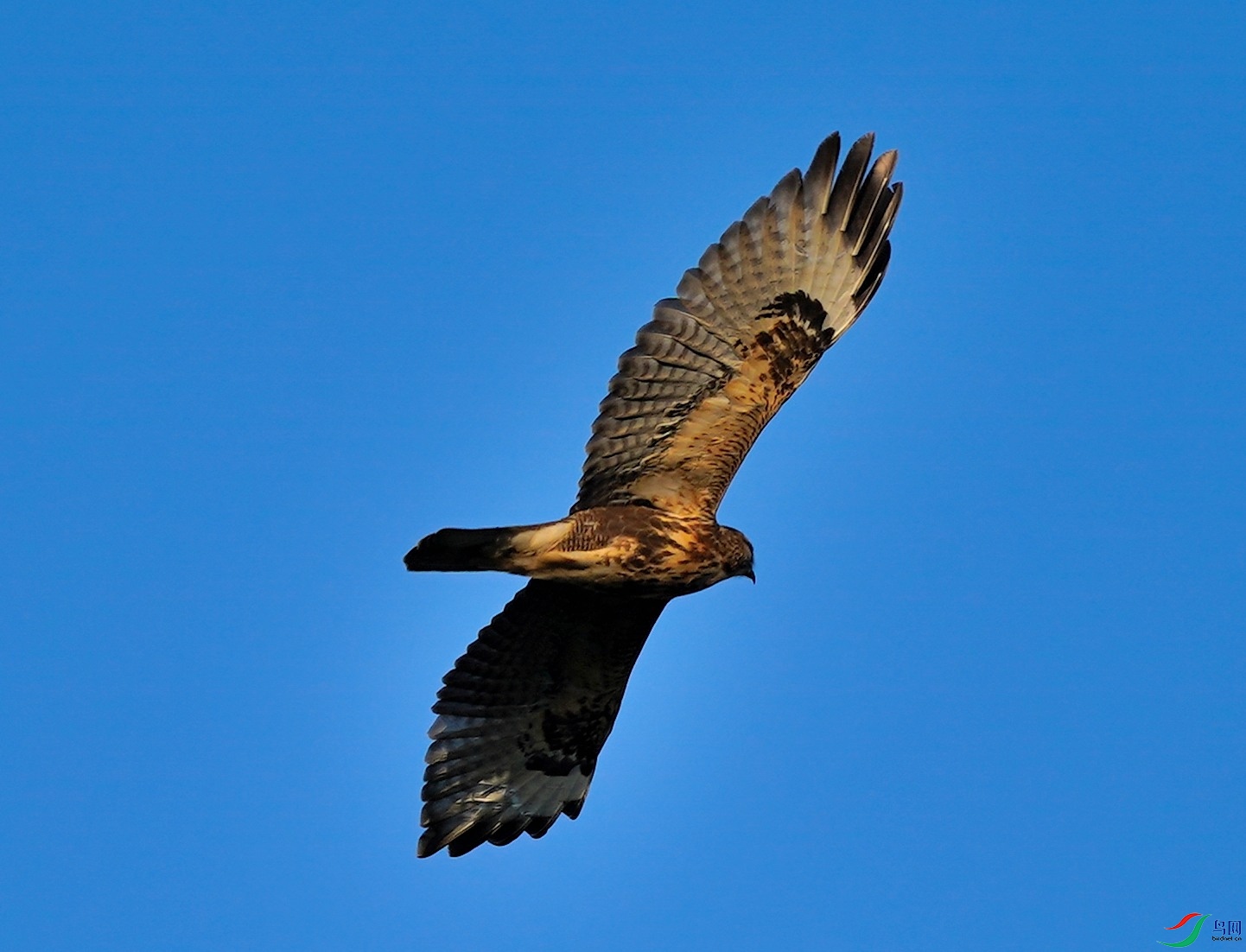 DSC00615-2022-10-19ë��