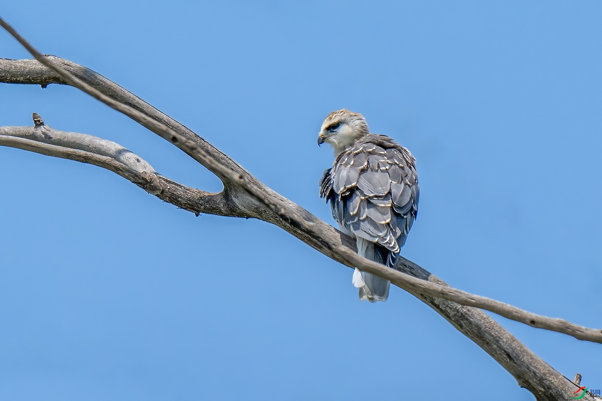 DSC_0190.jpg