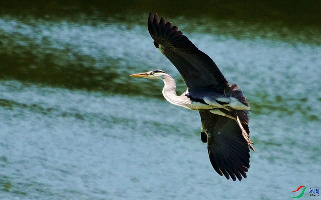 730 (71)_����.jpg