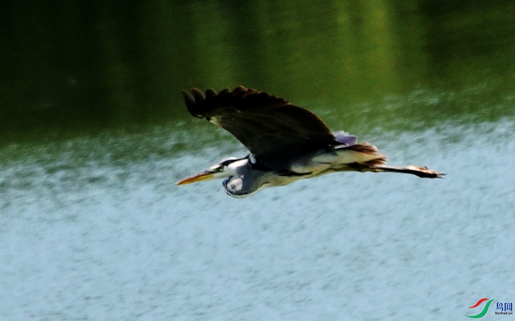 730 (66c)_����.jpg