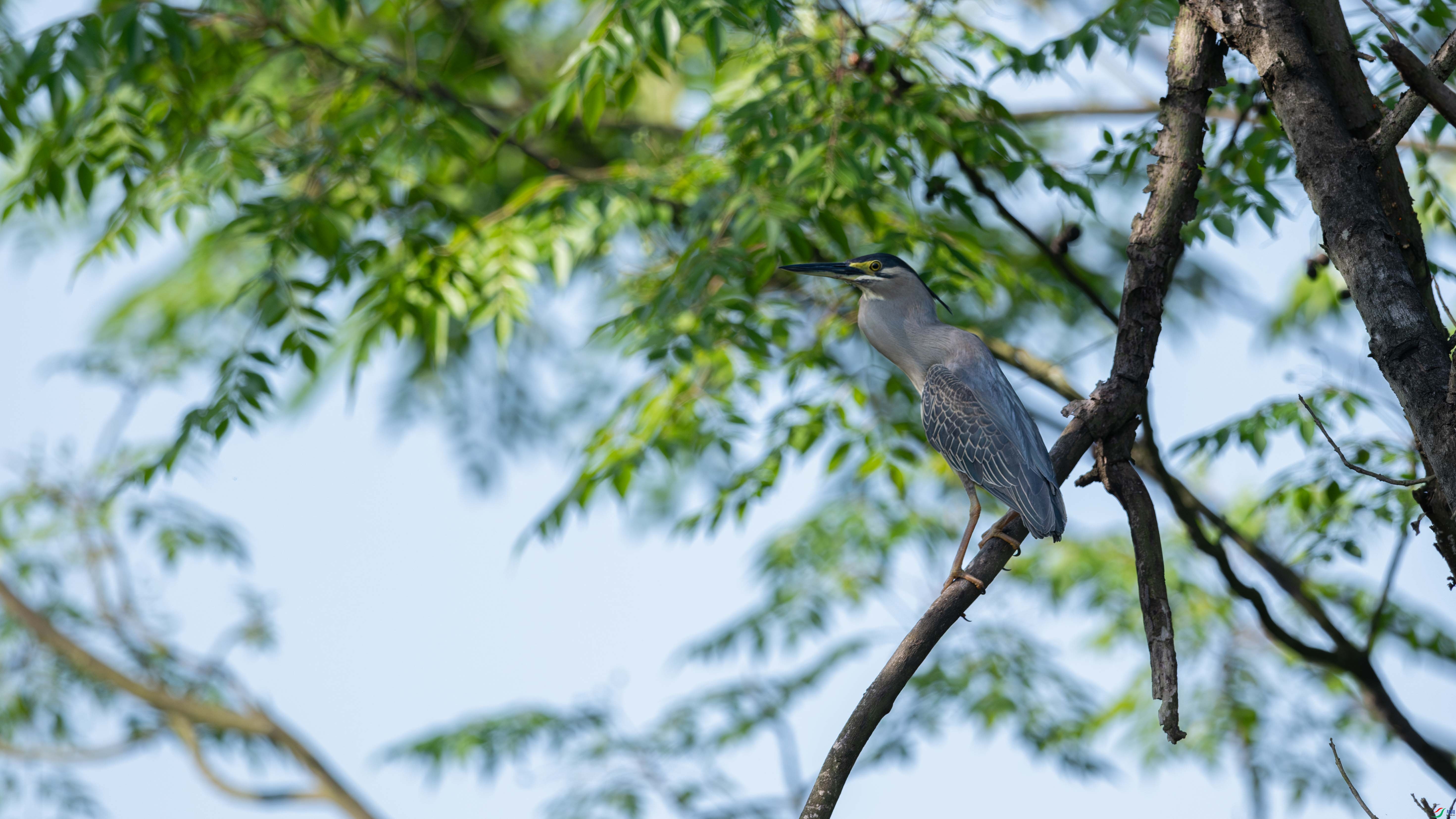 DSC_6238_1.jpg