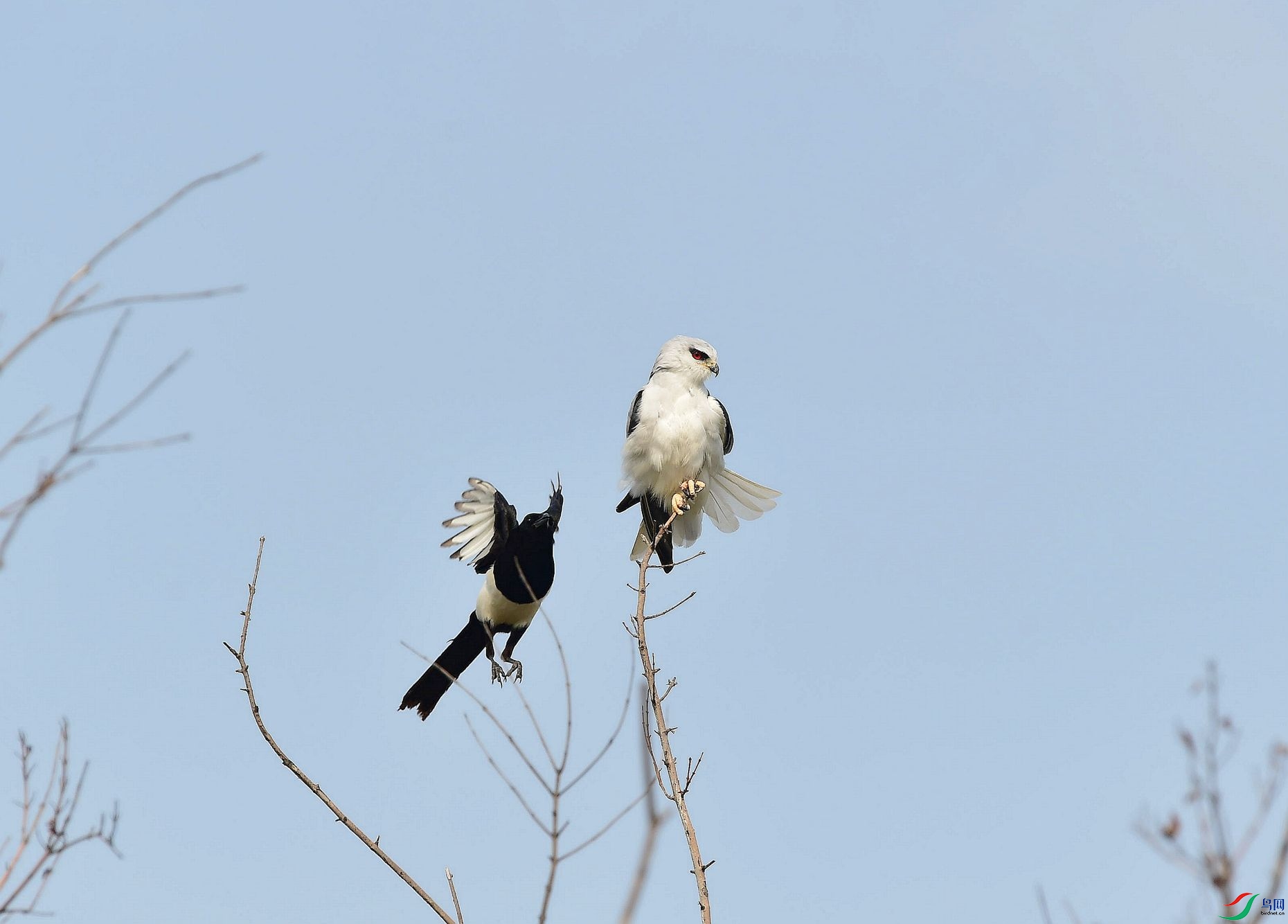 DSC_5671_����.jpg