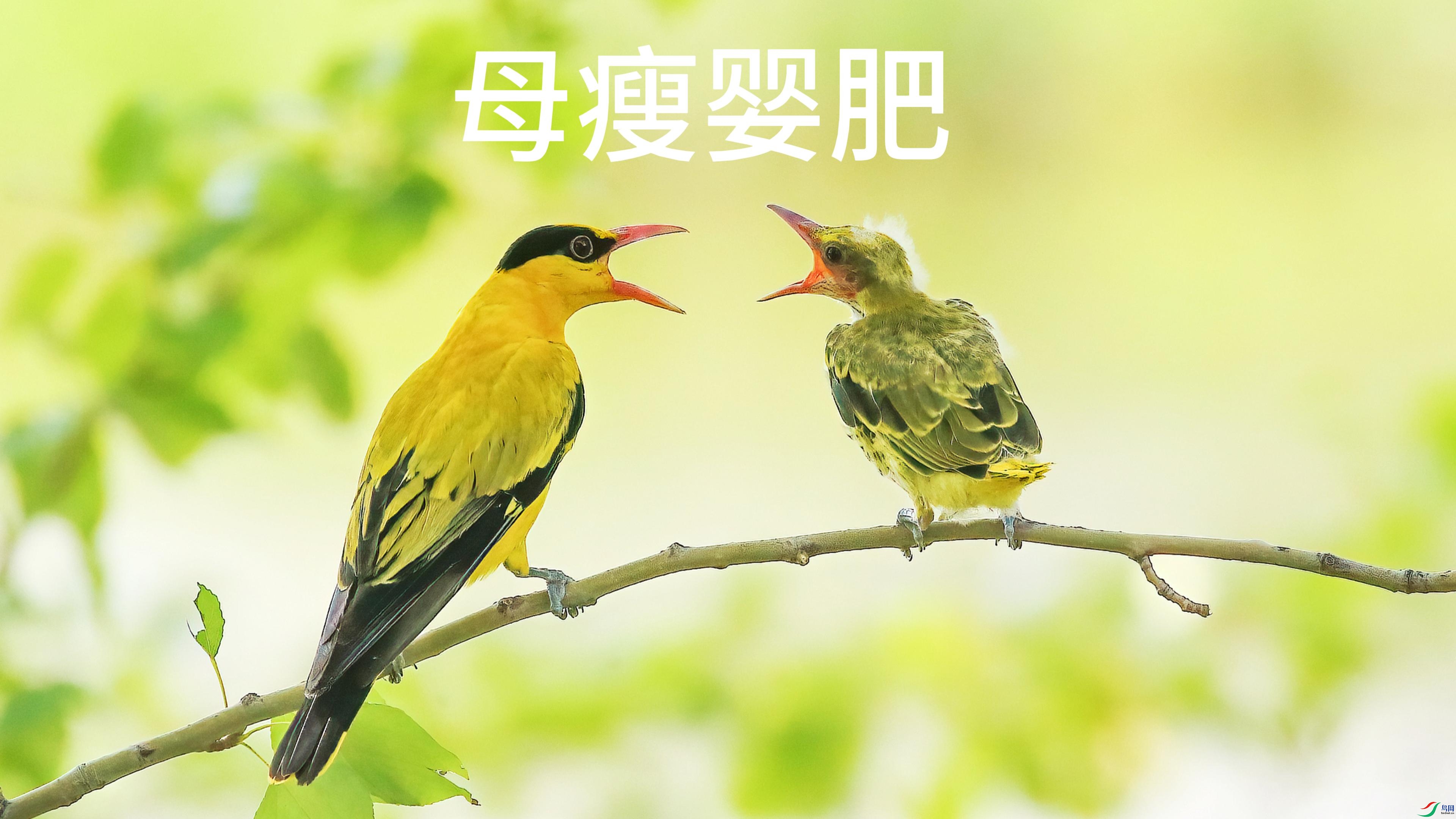 7��7�� (2)-����.jpg
