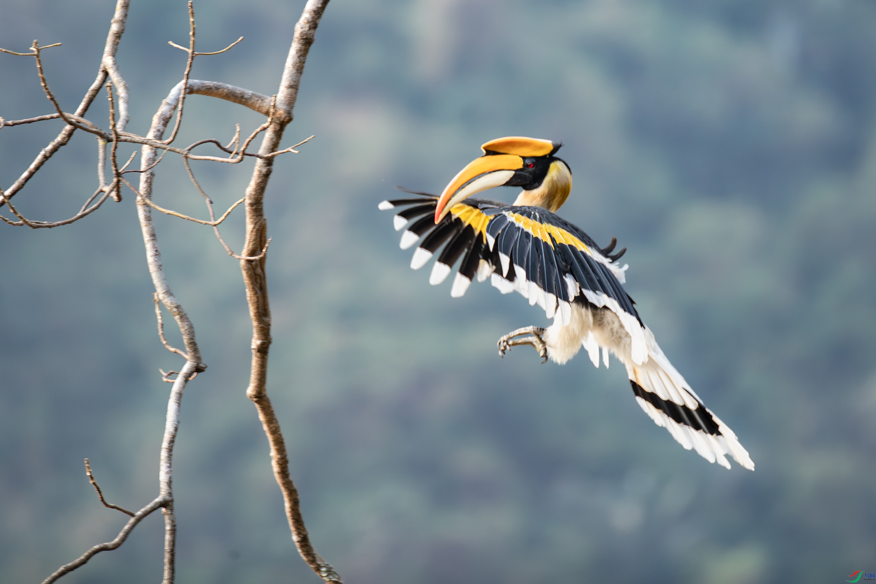 AY8I0085- ����.jpg