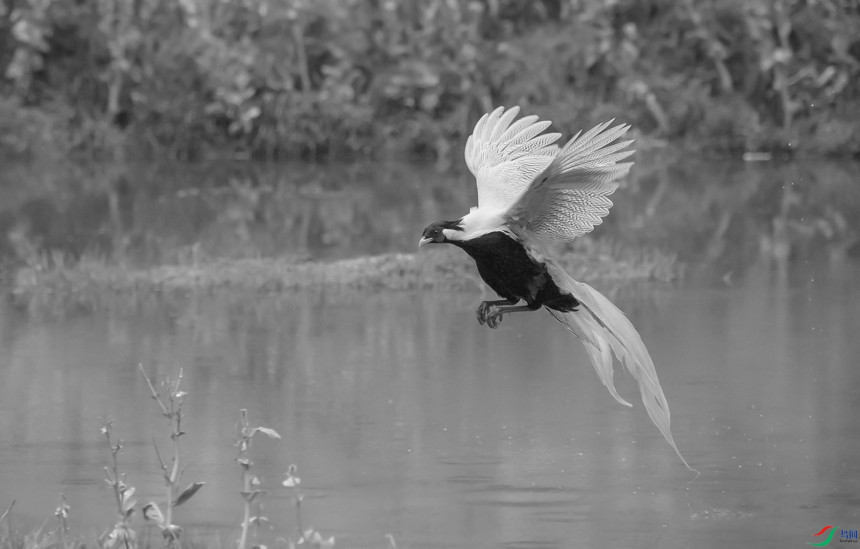 DSC_5153-1.jpg