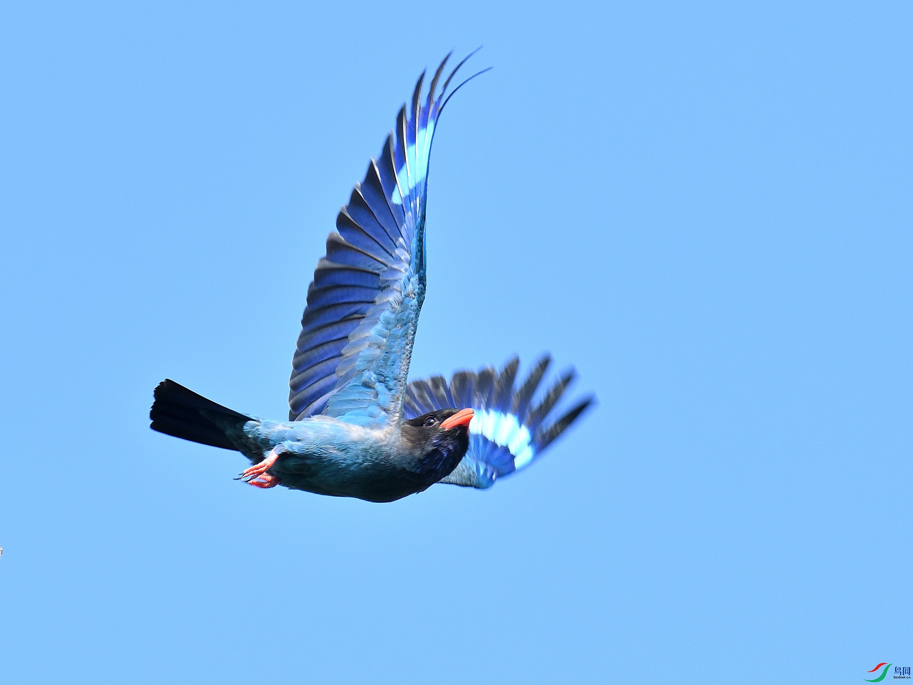 DSC_1897.JPG