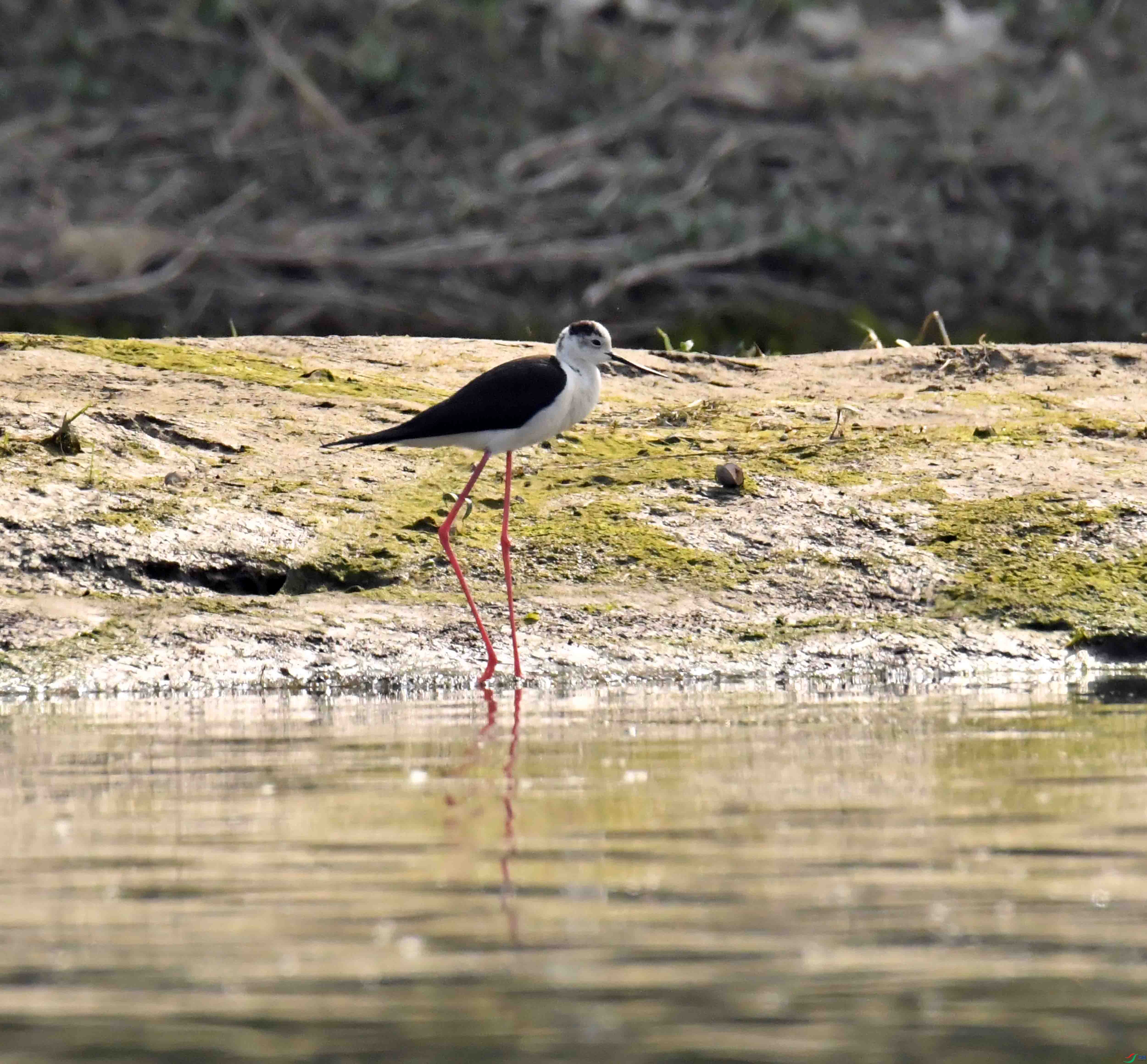 DSC_2045.JPG