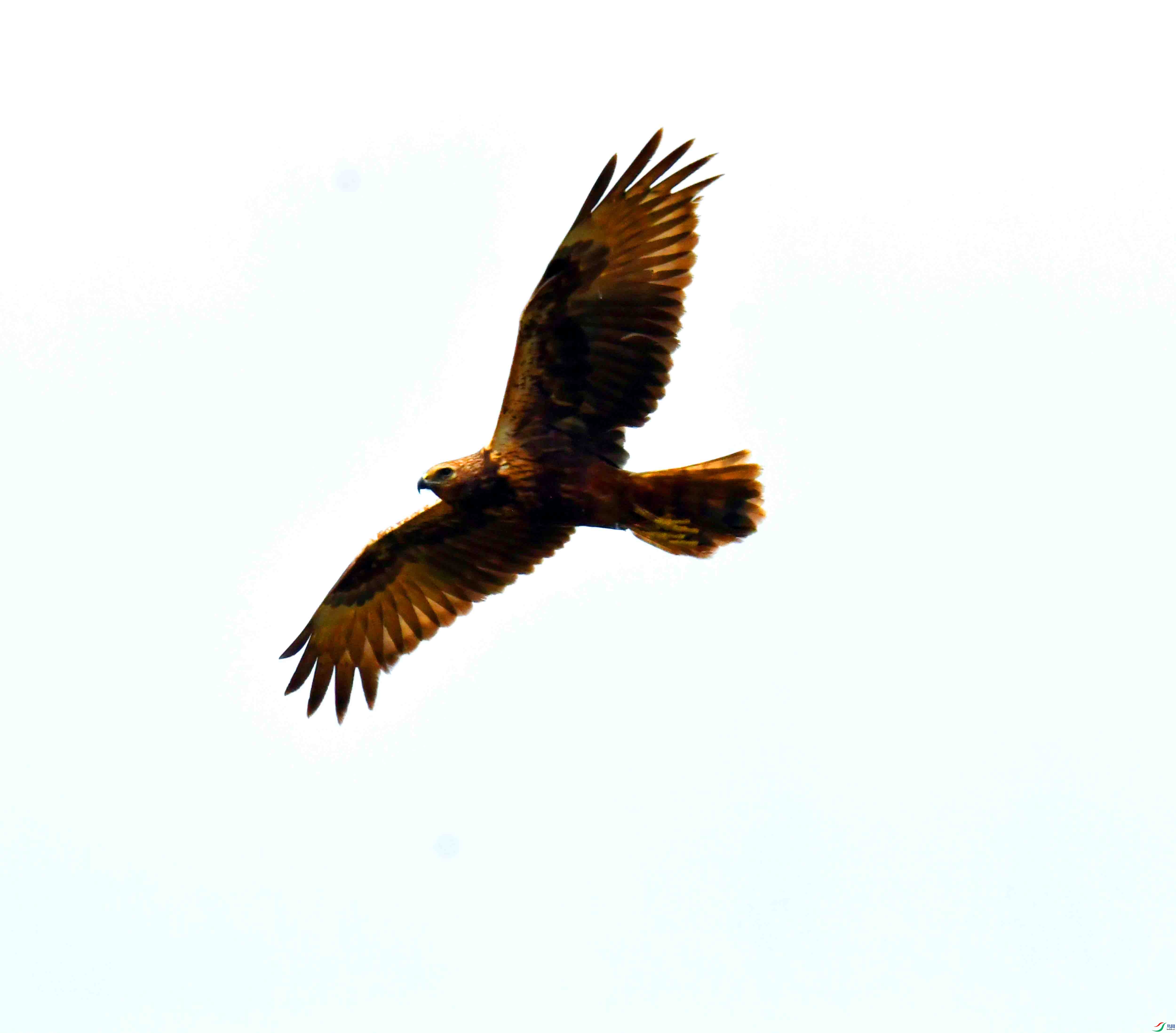 DSC_0019.JPG