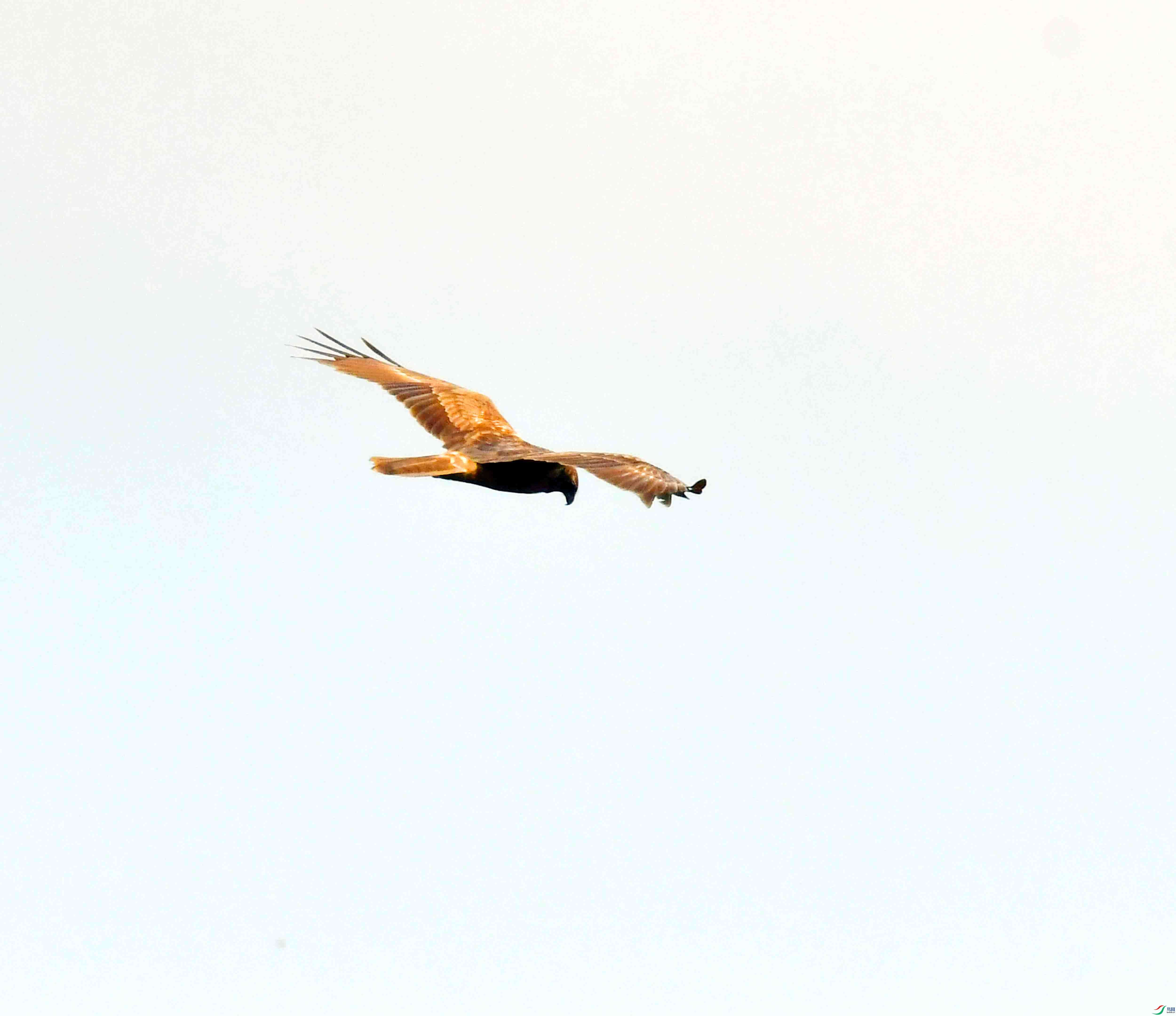 DSC_0401.JPG