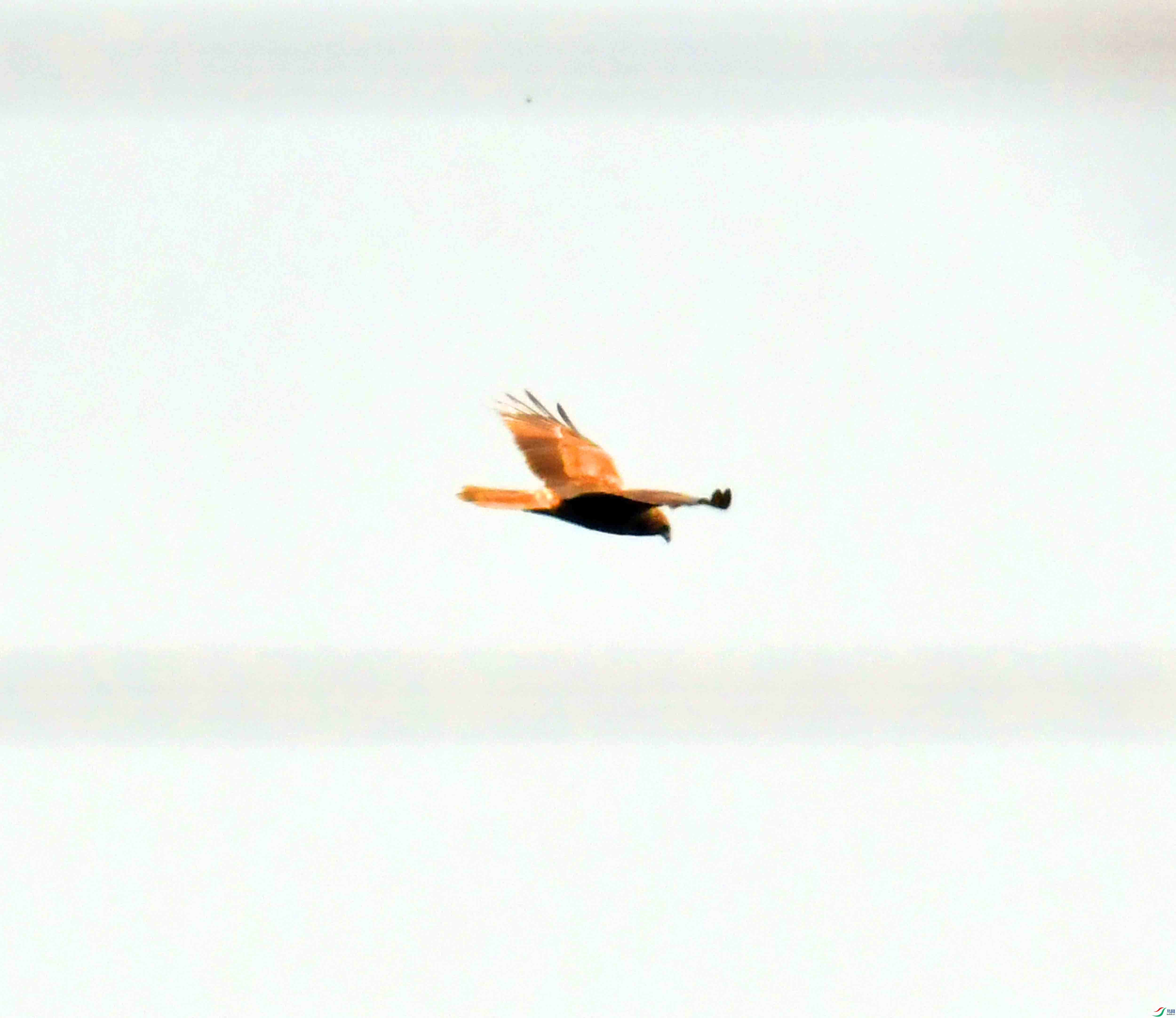 DSC_0418.JPG