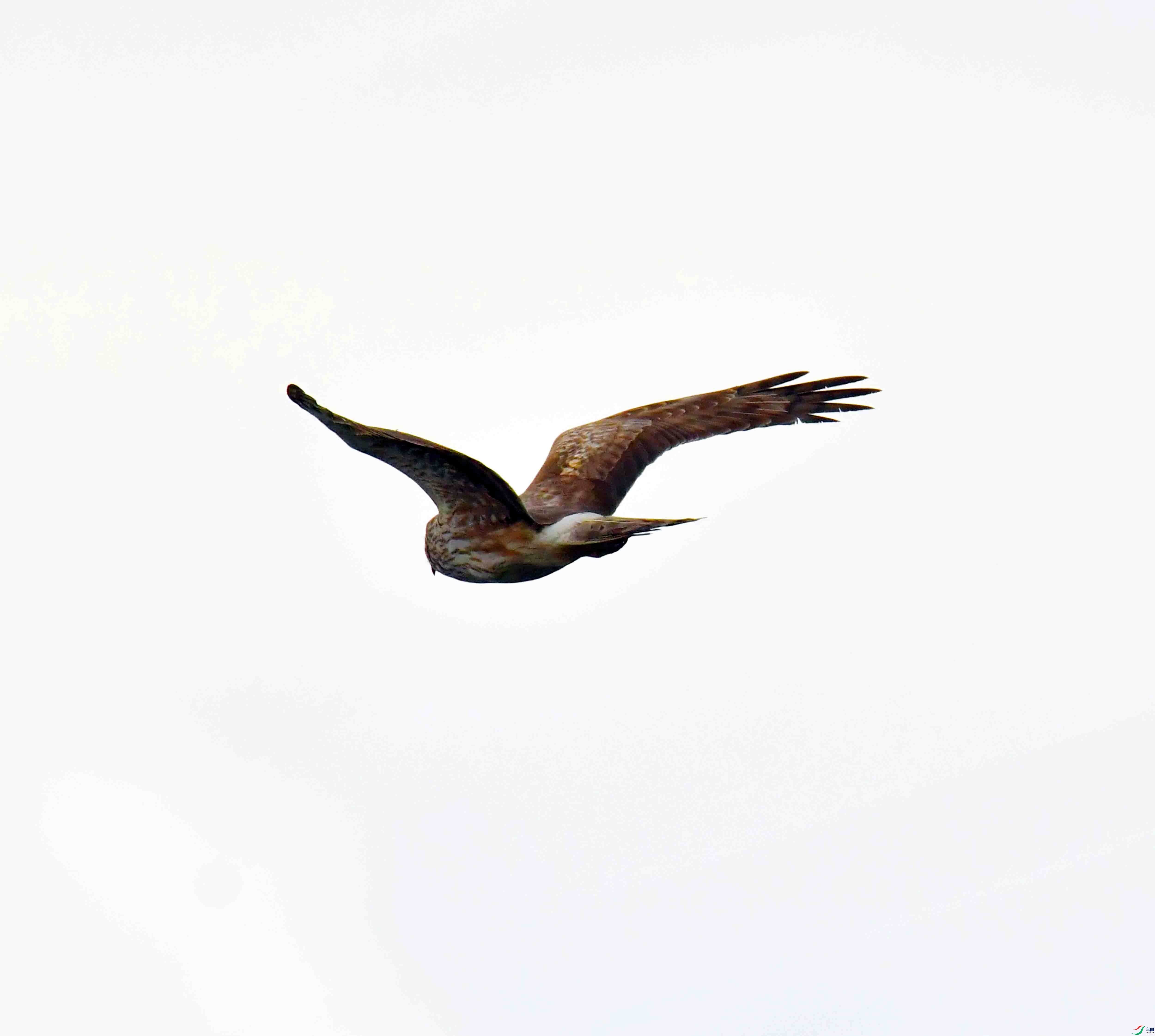 DSC_1857.JPG