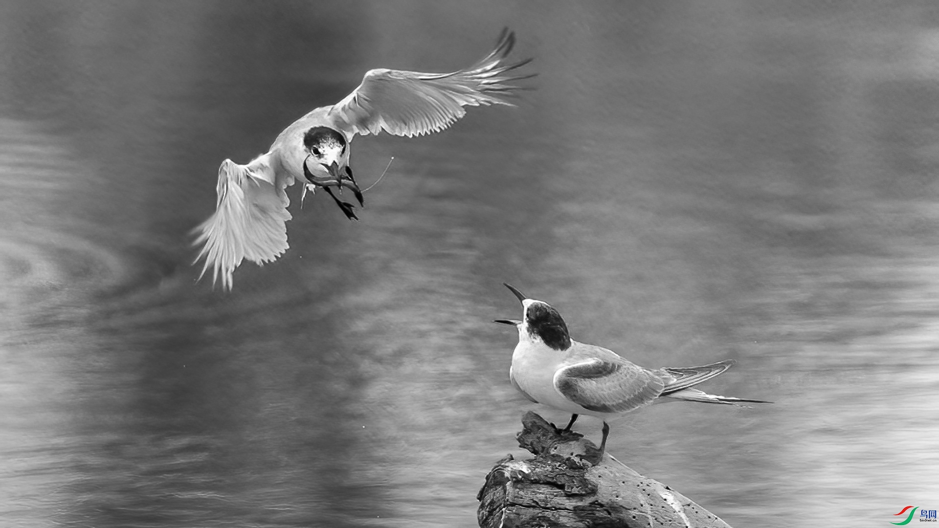 EV3W9649-�༭ (2).jpg