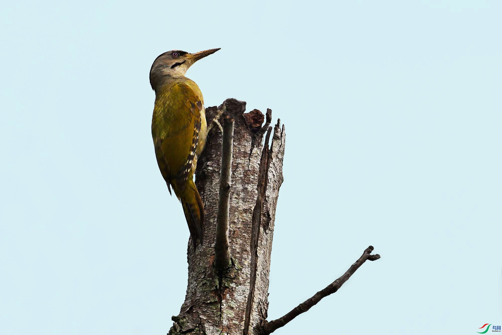 DSC_6025_.jpg