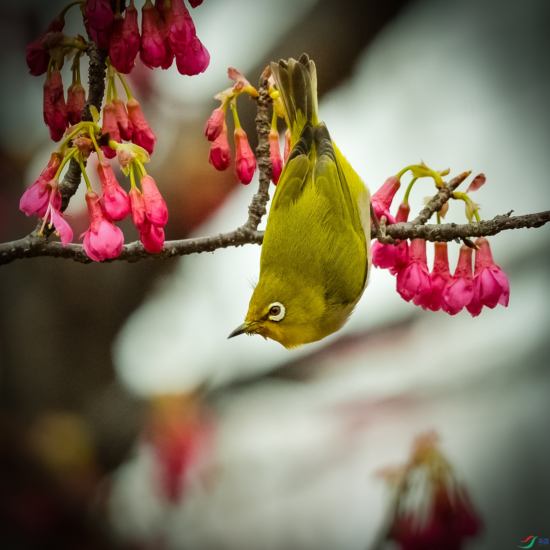 DSC_7183.jpg