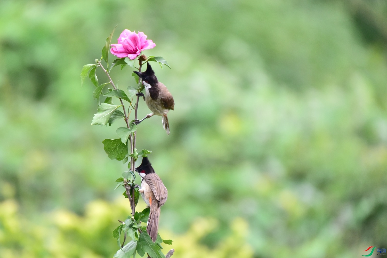 DSC_6150.JPG