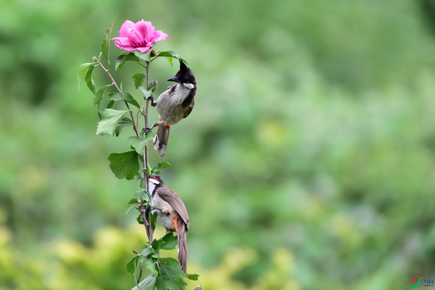 DSC_6155.JPG