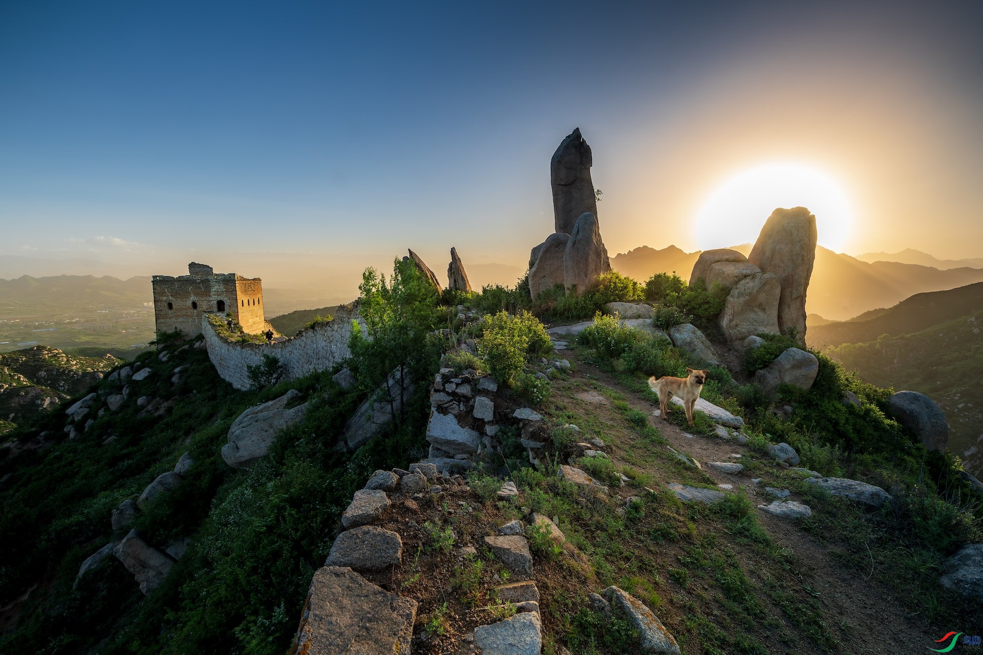 221_DSC7625-����ǿ-NR ���� 2.jpeg