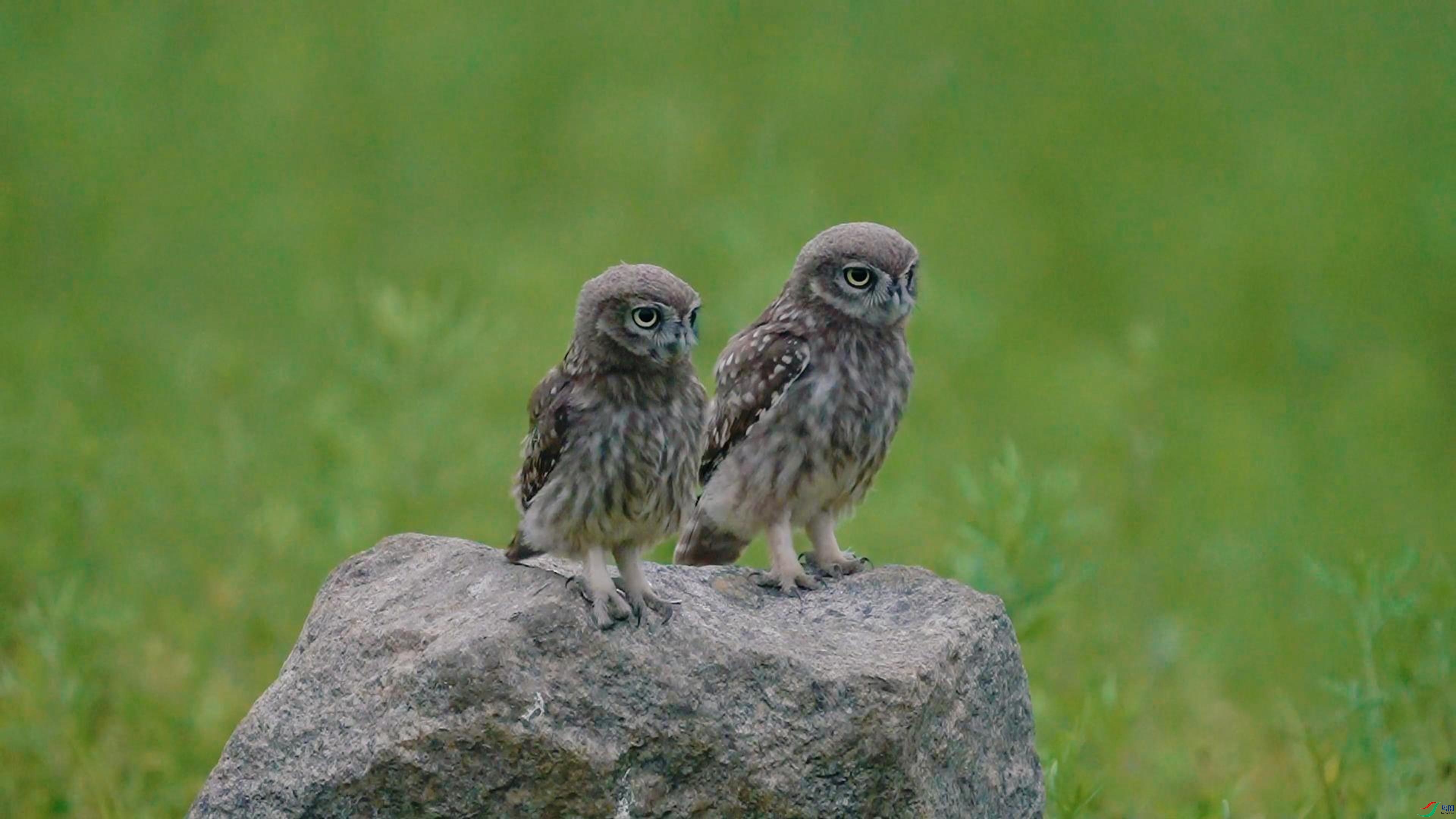 7��11�� (3)-����.jpg