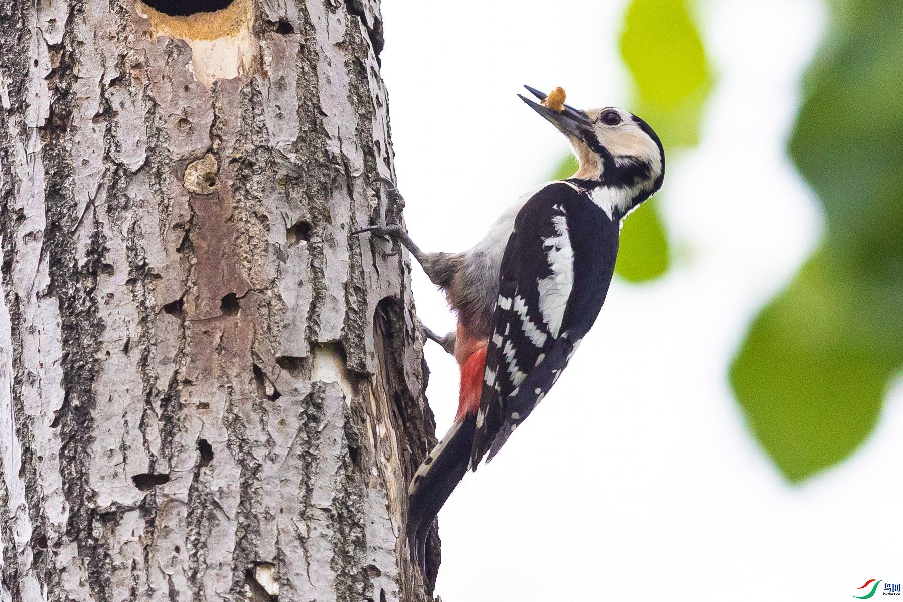 �����ľ��7