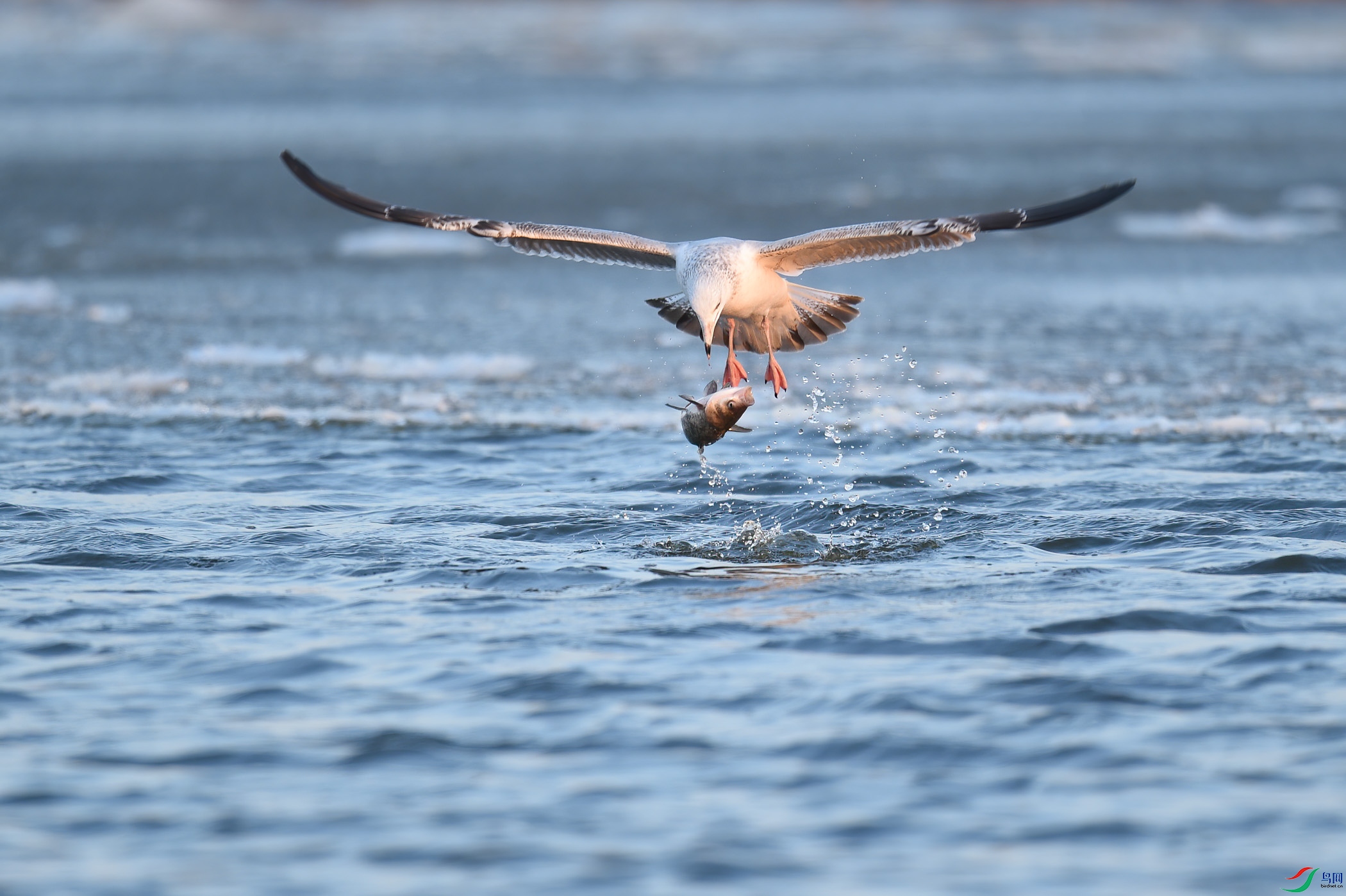 ׽��ʵ��ǿ��