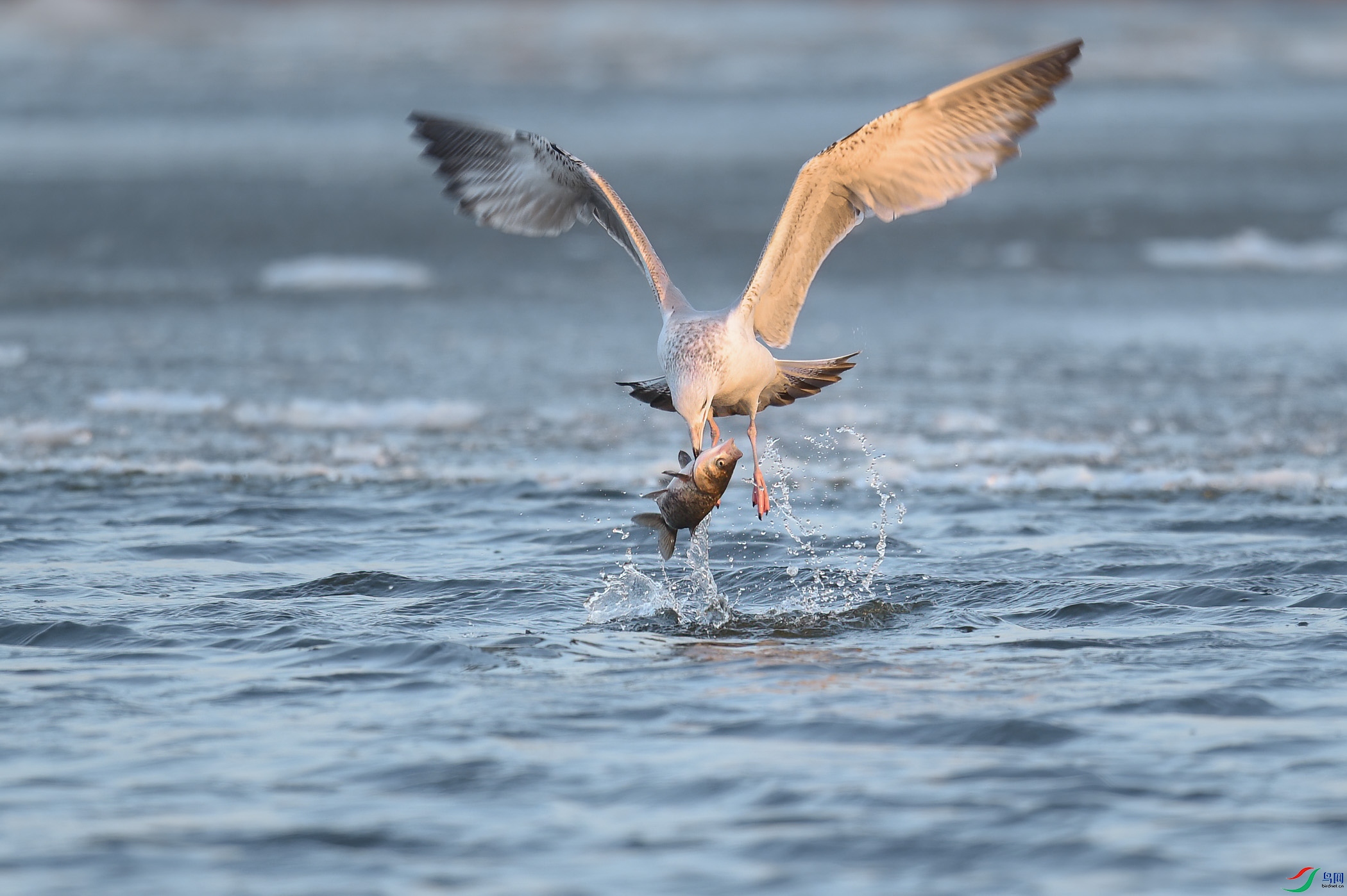 ��̫�󣻣��ò�ס��