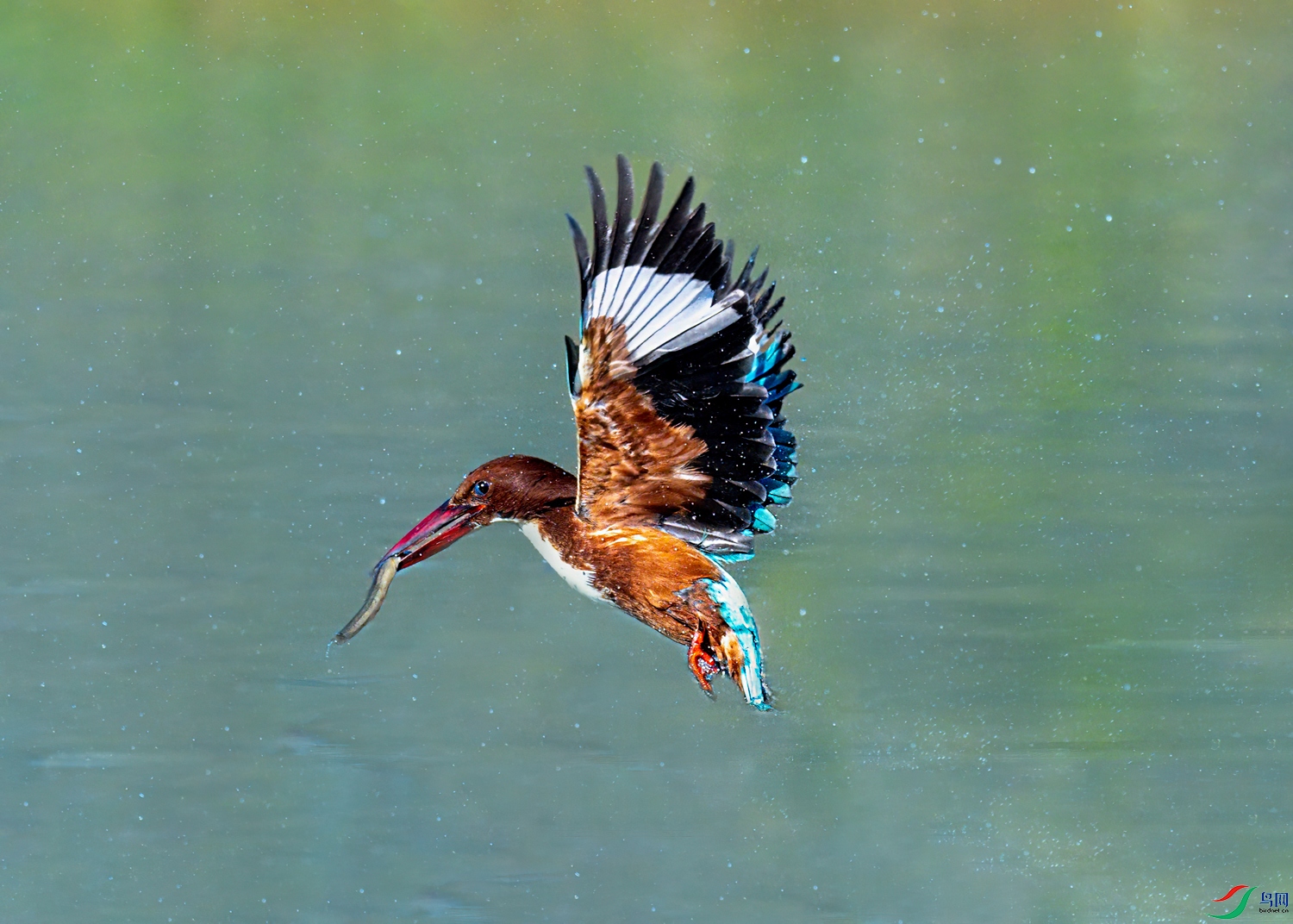 DSC_7692.jpg