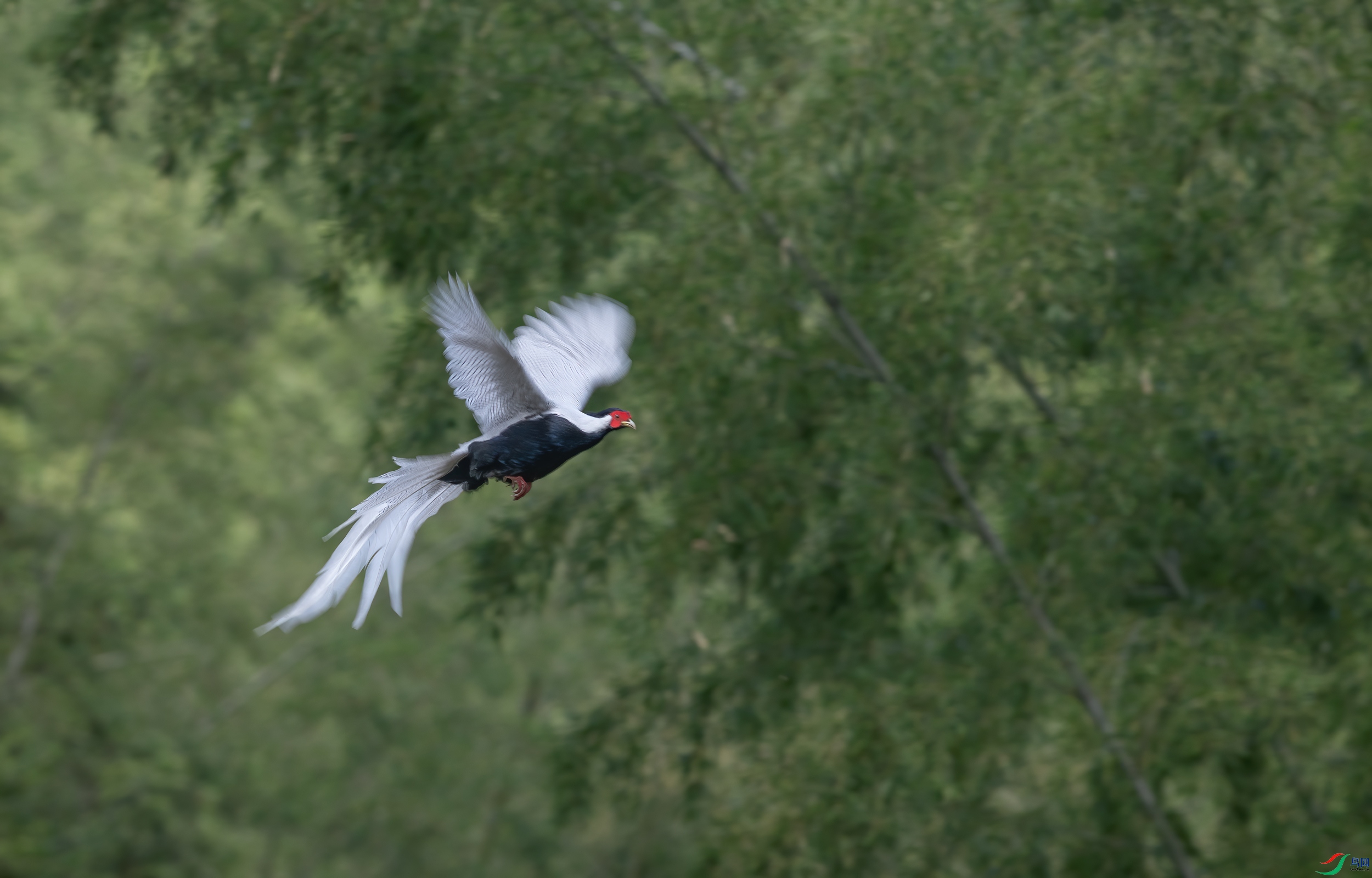 DSC_7134-11.jpg