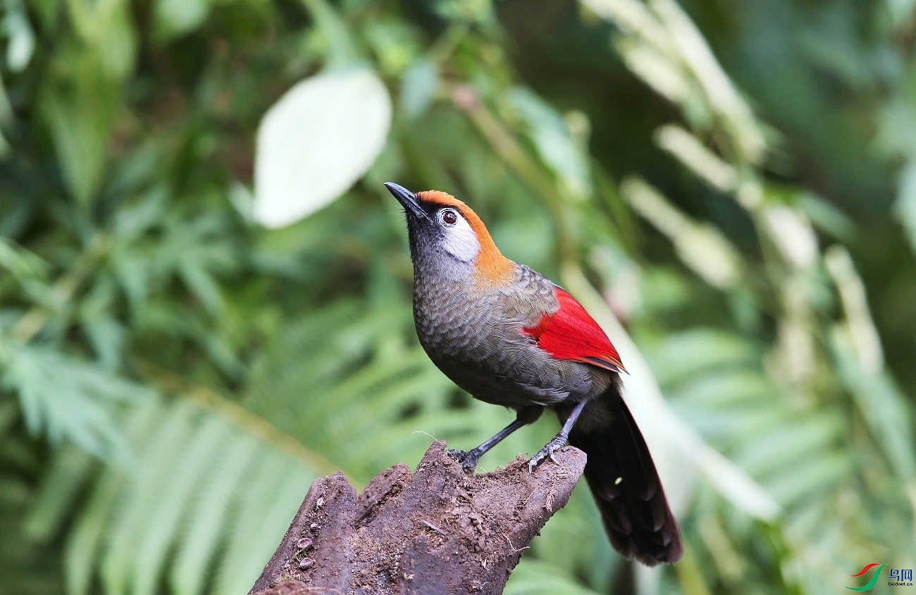 ���� IMGL5681.JPG