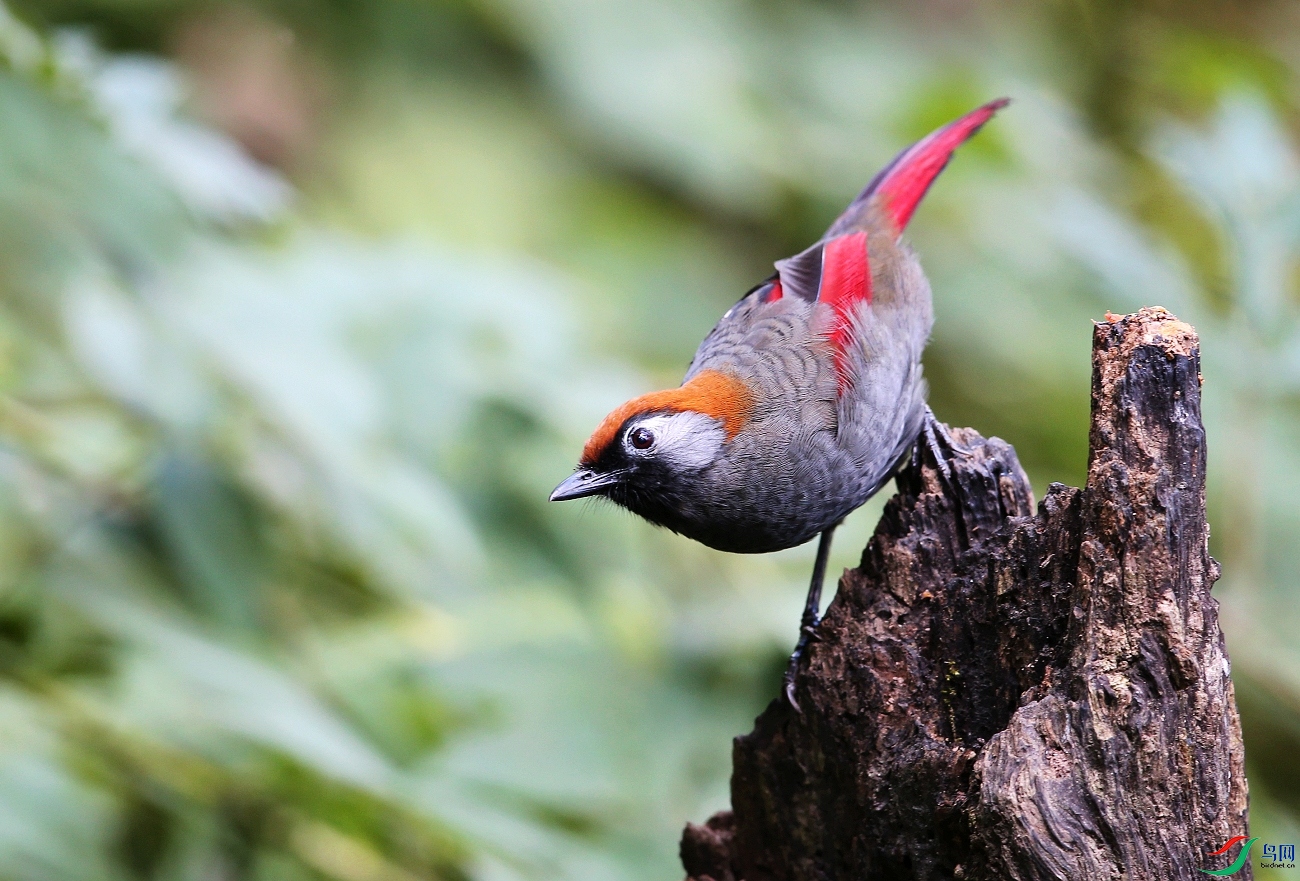 ���� IMGL5807.JPG