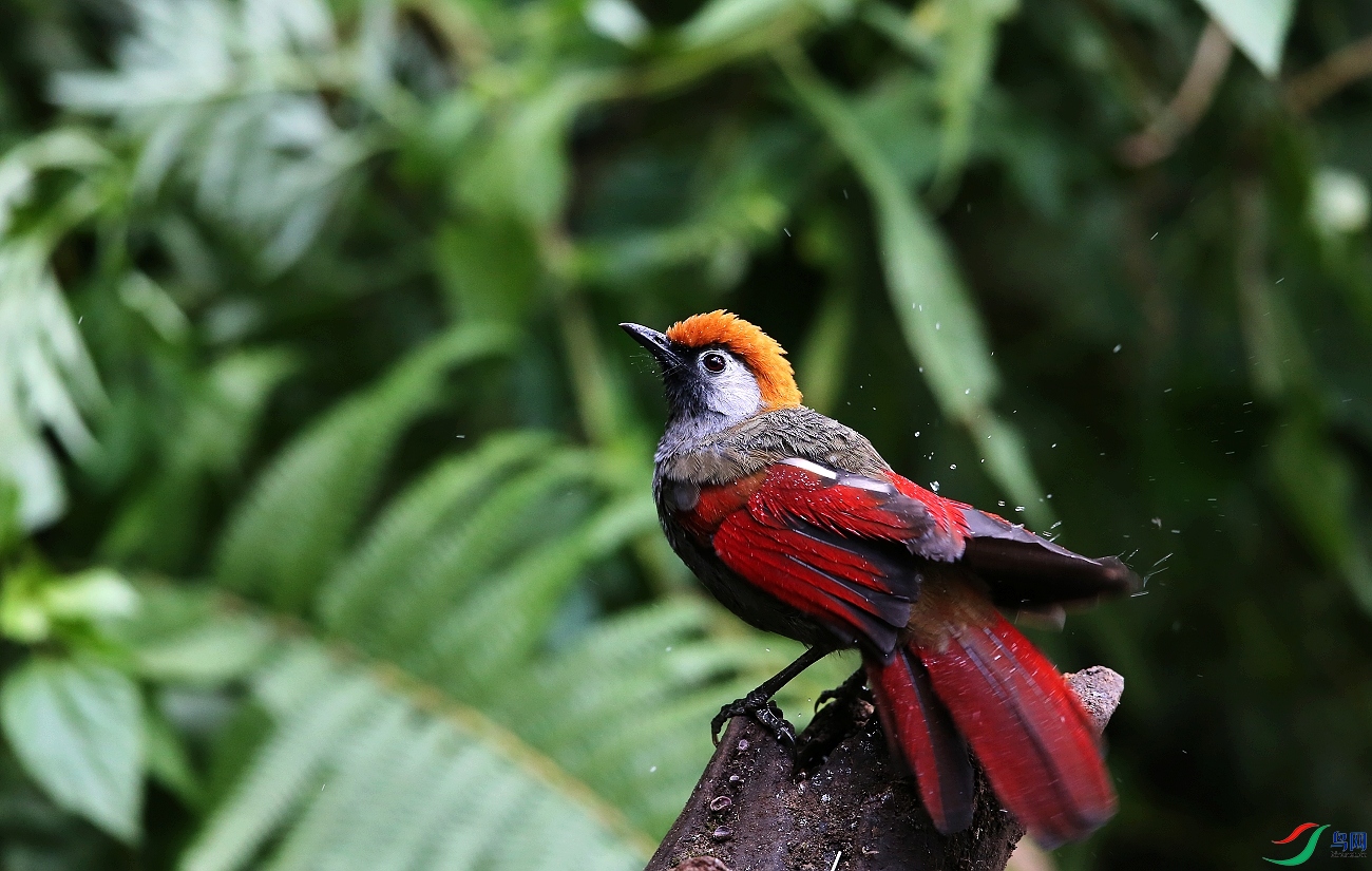 ���� IMGL6636.JPG