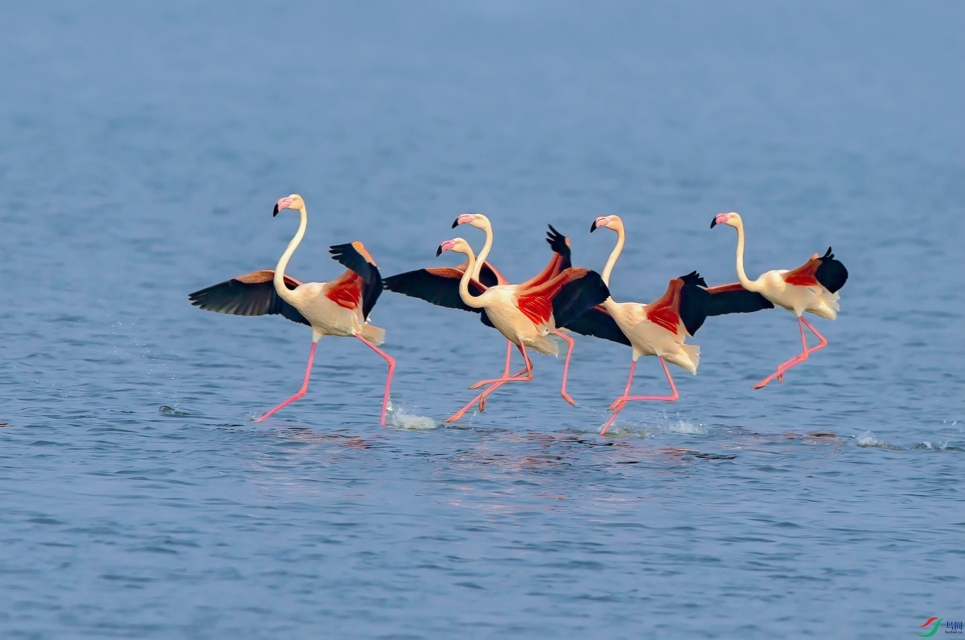 _O1I0093 ����_����.jpg