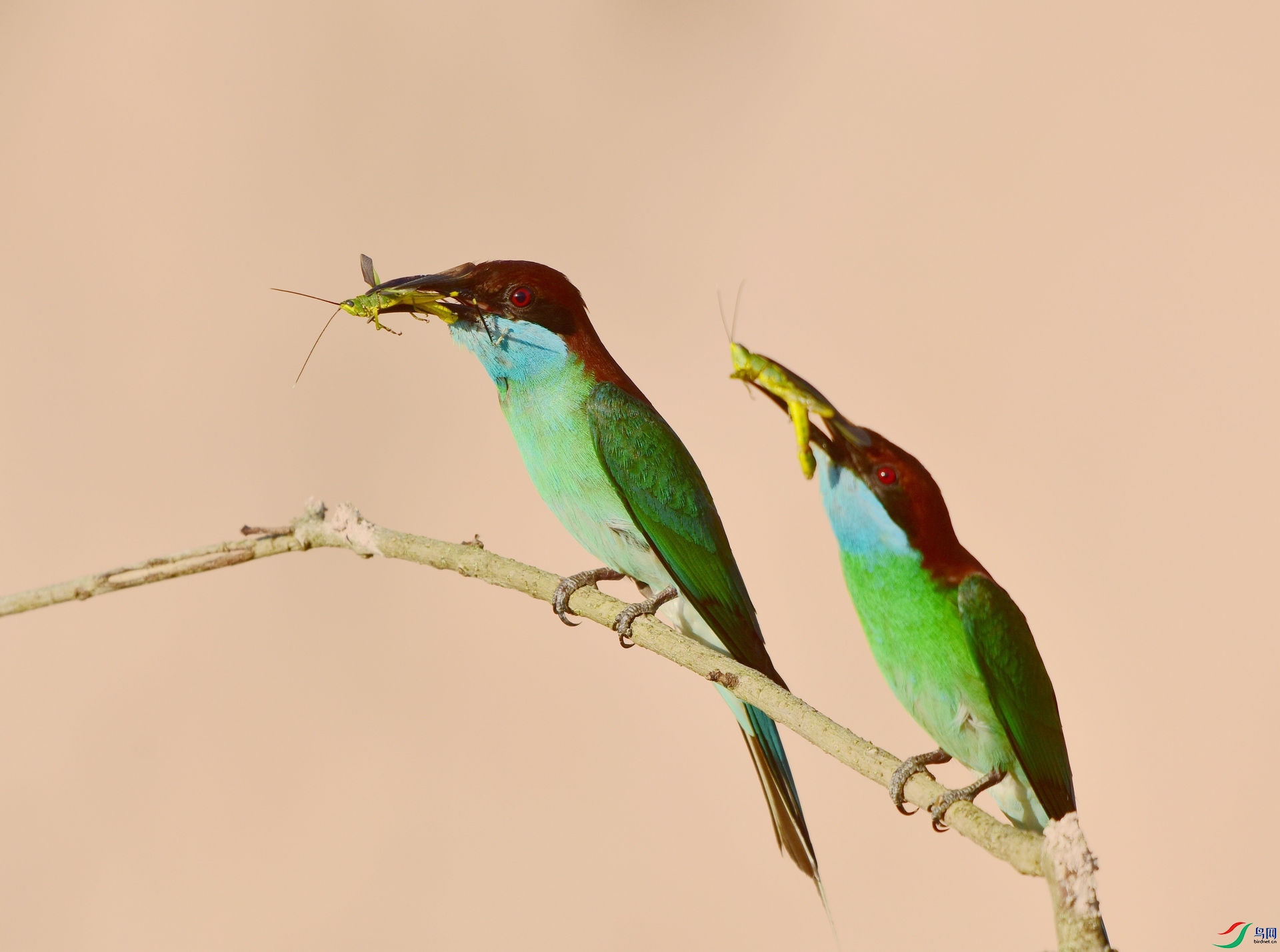 D8I_9388.jpg